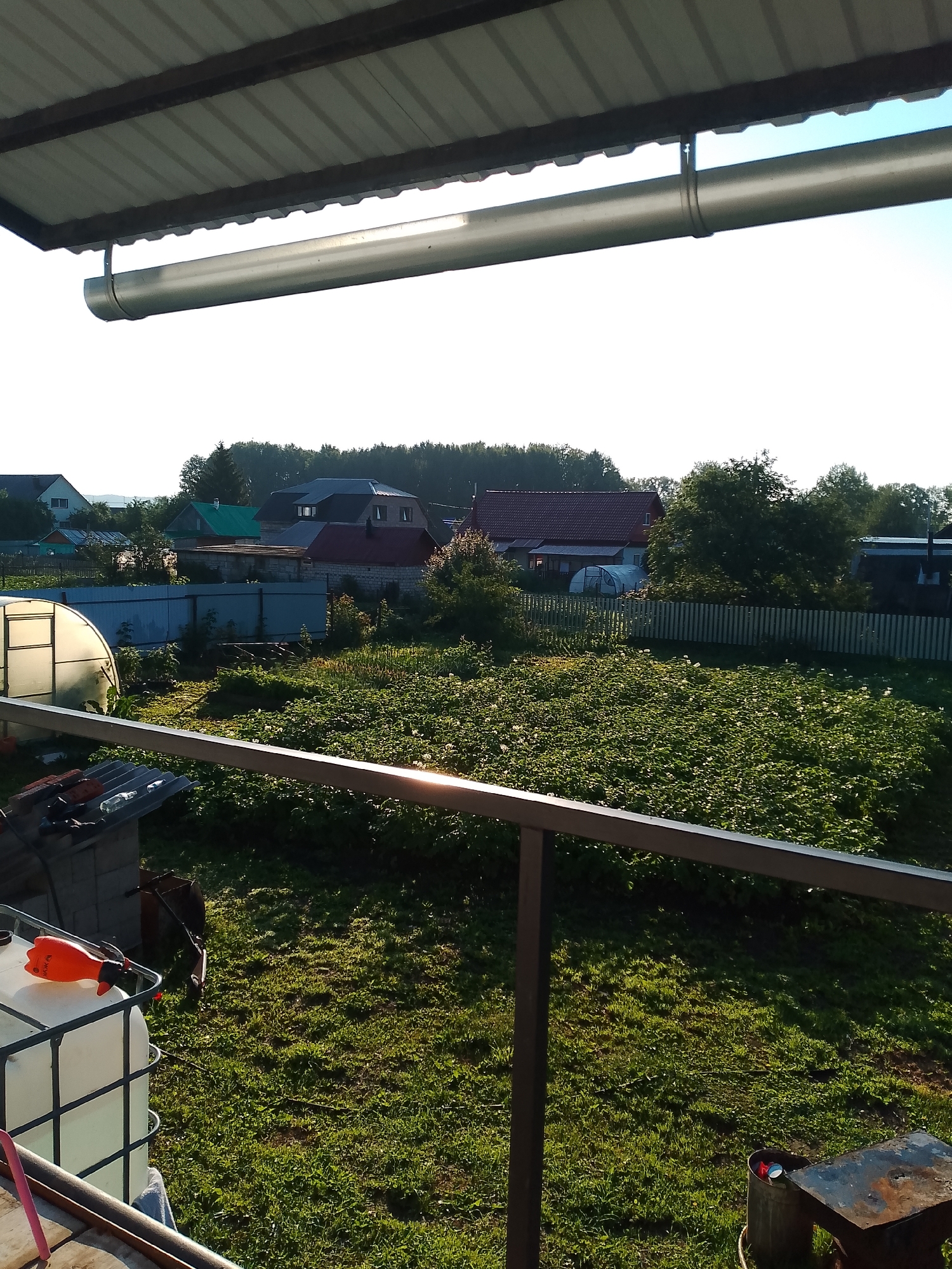 The image depicts a view from an elevated vantage point, likely a porch or balcony, looking out over a rural backyard or dacha property in Kranokholmskiy, Russia. The foreground features a dark metal railing and a portion of a corrugated metal roof with a gutter system.
Beyond the railing, a lush green lawn is visible, dappled with sunlight. To the left, a large white IBC tote with a black metal frame is partially visible, with an orange spray bottle resting on top. Further back, a greenhouse with a white, translucent cover stands amidst overgrown green vegetation.
A white picket fence runs across the middle ground, separating the yard from a collection of houses. These houses are varied in style and color, with some featuring red tile roofs and others lighter colored facades. Trees and foliage are abundant throughout the scene, forming a dense line of green along the horizon. The sky is clear and bright blue, indicating a sunny day. The overall impression is one of a peaceful, domestic setting in a Russian countryside.