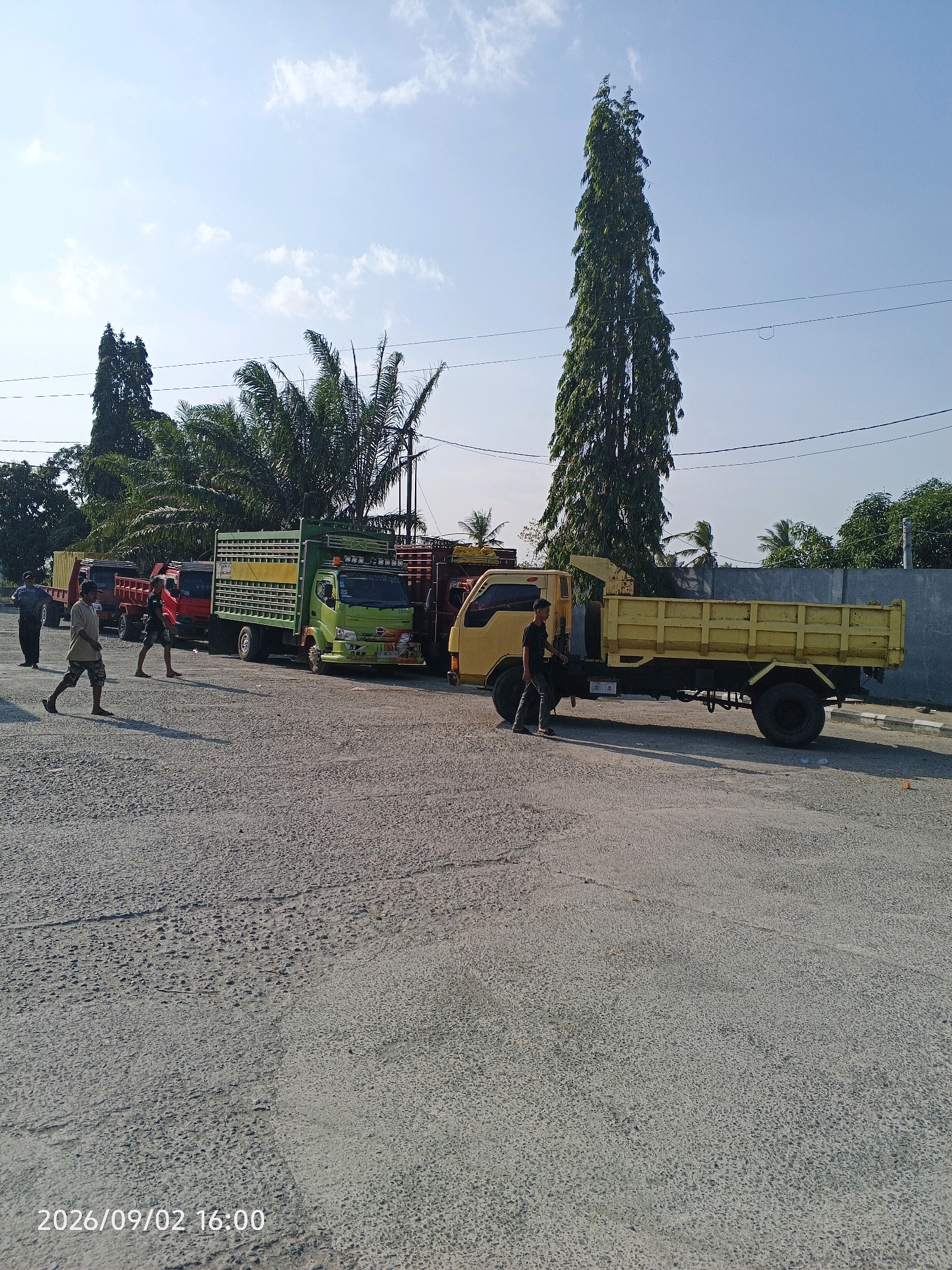 A bright, outdoor scene depicts a line of parked trucks on a gravelly surface in Pinrang, Indonesia. The sky is clear and blue with scattered white clouds. Several tall trees, including a very slender, elongated one that stands out prominently, are visible in the background, along with palm trees. Power lines crisscross the upper portion of the frame.
In the foreground, several men are present. One man in a light-colored shirt and patterned shorts is walking towards the right side of the frame, casting a long shadow. Another man in a dark shirt and pants is standing near the front of a yellow dump truck. Further down the line of trucks, two more men are visible, one in a dark shirt and one in a red shirt.
The trucks are diverse in color and type. Closest to the viewer is a bright yellow dump truck. To its left is a green and yellow cargo truck. Behind that are several other trucks, including red ones. The trucks appear to be parked, with some of the men seemingly associated with them. The ground is covered in a rough, gray gravel. A concrete wall is visible behind some of the trucks on the right side of the image. A date and time stamp at the bottom left corner reads "2026/09/02 16:00".