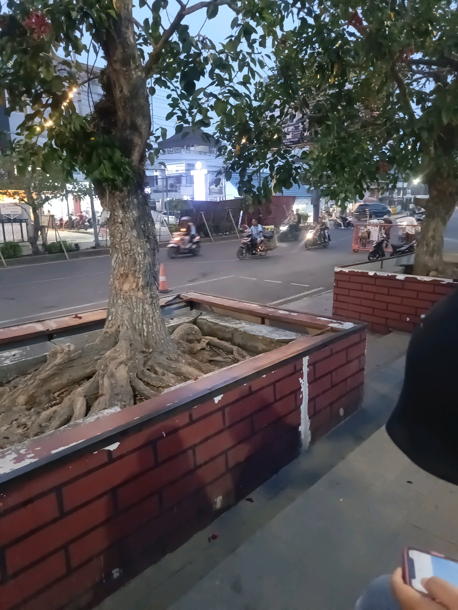 The image captures a street scene in Lubuklinggau, Indonesia, at dusk. A prominent tree with exposed, gnarled roots is centered in the foreground, situated within a raised planter box lined with red brick-patterned material. The planter has a dark colored border. Across the street, several motorcycles are visible, with some riders in motion, suggesting traffic activity. Buildings with illuminated windows and signage are present in the background, indicating a commercial or urban area. The sky is a dusky blue, and artificial lights from the street and buildings are beginning to illuminate the scene. A person's hand holding a mobile phone is visible in the lower right corner of the frame.