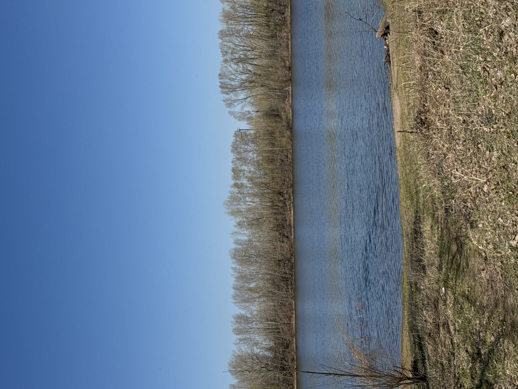 The image shows a body of water, possibly a river or lake, bordered by trees on one side and vegetation on the other. The sky is clear blue. The trees appear to be bare, suggesting it may be late autumn or early spring. The vegetation is dry and brown. The image does not provide definitive evidence to confirm the location is Chaikovsky, Russia. There are no people visible in the scene.