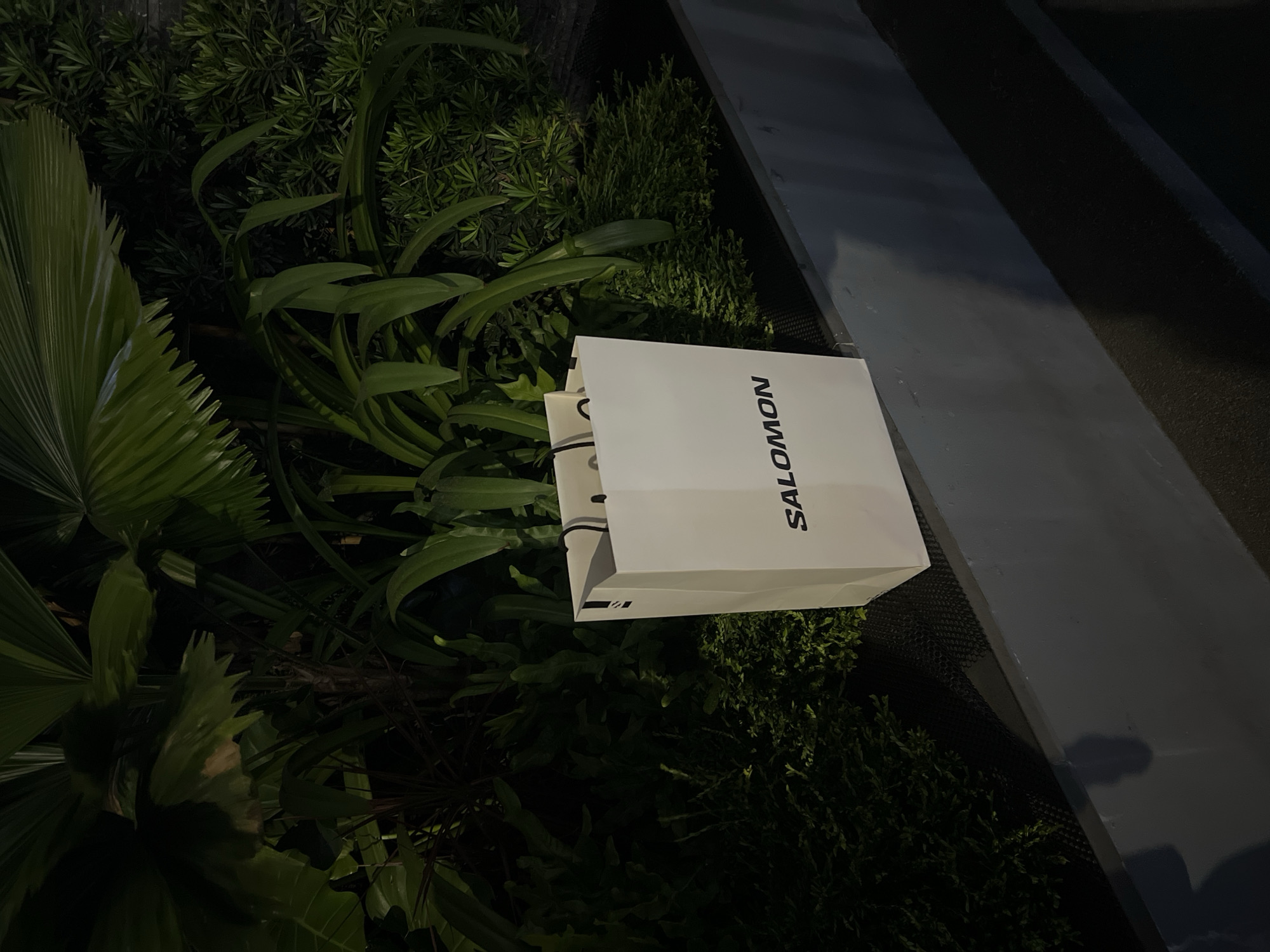A white Salomon branded shopping bag rests amongst lush green plants in what appears to be an urban environment. The plants include broad-leafed foliage and denser, bushier greenery. The background features a dark, possibly black paved area adjacent to a gray wall or barrier. The overall illumination suggests nighttime or very low light conditions. While the general environment suggests the location may be Bangkok, Thailand, the precise location cannot be determined definitively from the image.