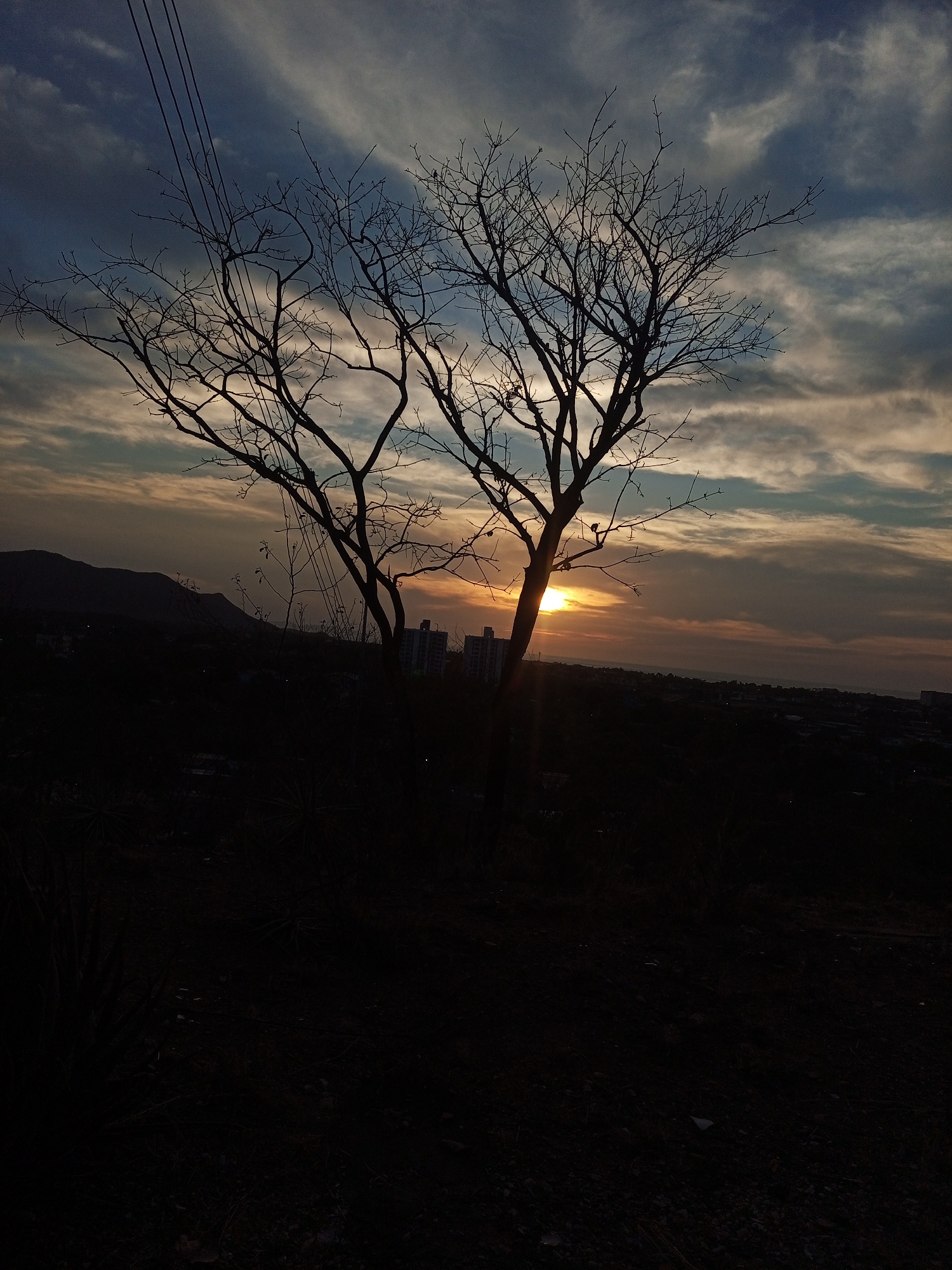 A silhouette of a bare tree dominates the foreground against a backdrop of a sunset sky with striated clouds. Below the horizon, buildings are faintly visible. The landscape is dark, obscuring details of the terrain. Power lines are visible in the upper-left corner. The location appears to be Juan Griego, Venezuela, given the details in the scene. No people are visible.