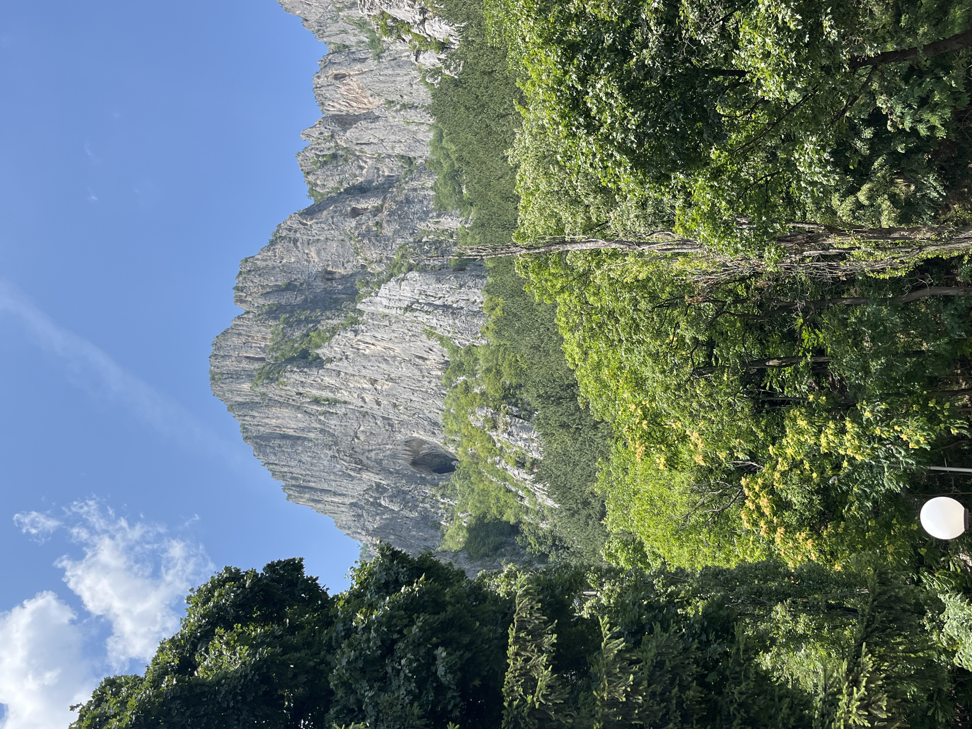 The image shows a view of the Vratsa Balkan Natural Park in Vratsa, Bulgaria. In the foreground, a dense forest of green trees and a single bare, dead tree trunk dominate the scene. A white globe-shaped light fixture is partially visible in the lower left corner. Behind the trees, a massive, rugged, gray rock face rises steeply, with a distinct cave opening visible on its surface. The sky above is a clear blue with a few scattered white clouds. The overall impression is one of a wild and natural landscape contrasted with hints of human presence.