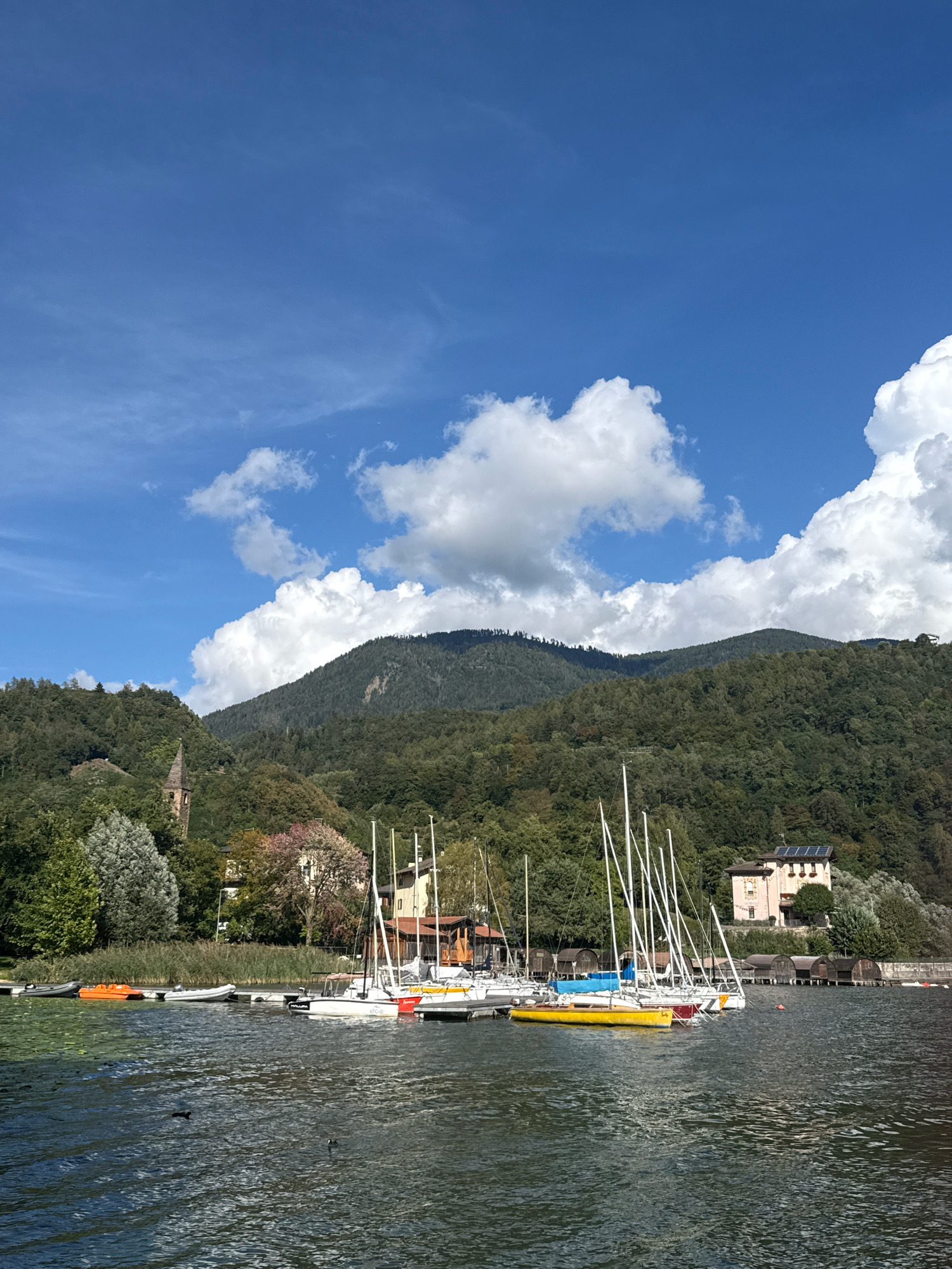 The image depicts a scenic view of a lake with several sailboats docked in the foreground. The lake water is choppy with ripples and two small birds are visible swimming. Behind the boats, the shore is lined with trees and buildings, including a multi-story structure with solar panels on its roof. In the background, a lush green, tree-covered mountain slopes upwards towards a bright blue sky dotted with white clouds. The scene is characteristic of a lakeside town, possibly located in the region of Pergine Valsugana, Italy, known for its beautiful natural landscapes and bodies of water like Lake Caldonazzo or Lake Levico. The atmosphere appears calm and sunny, suggesting a pleasant day for boating and outdoor activities.