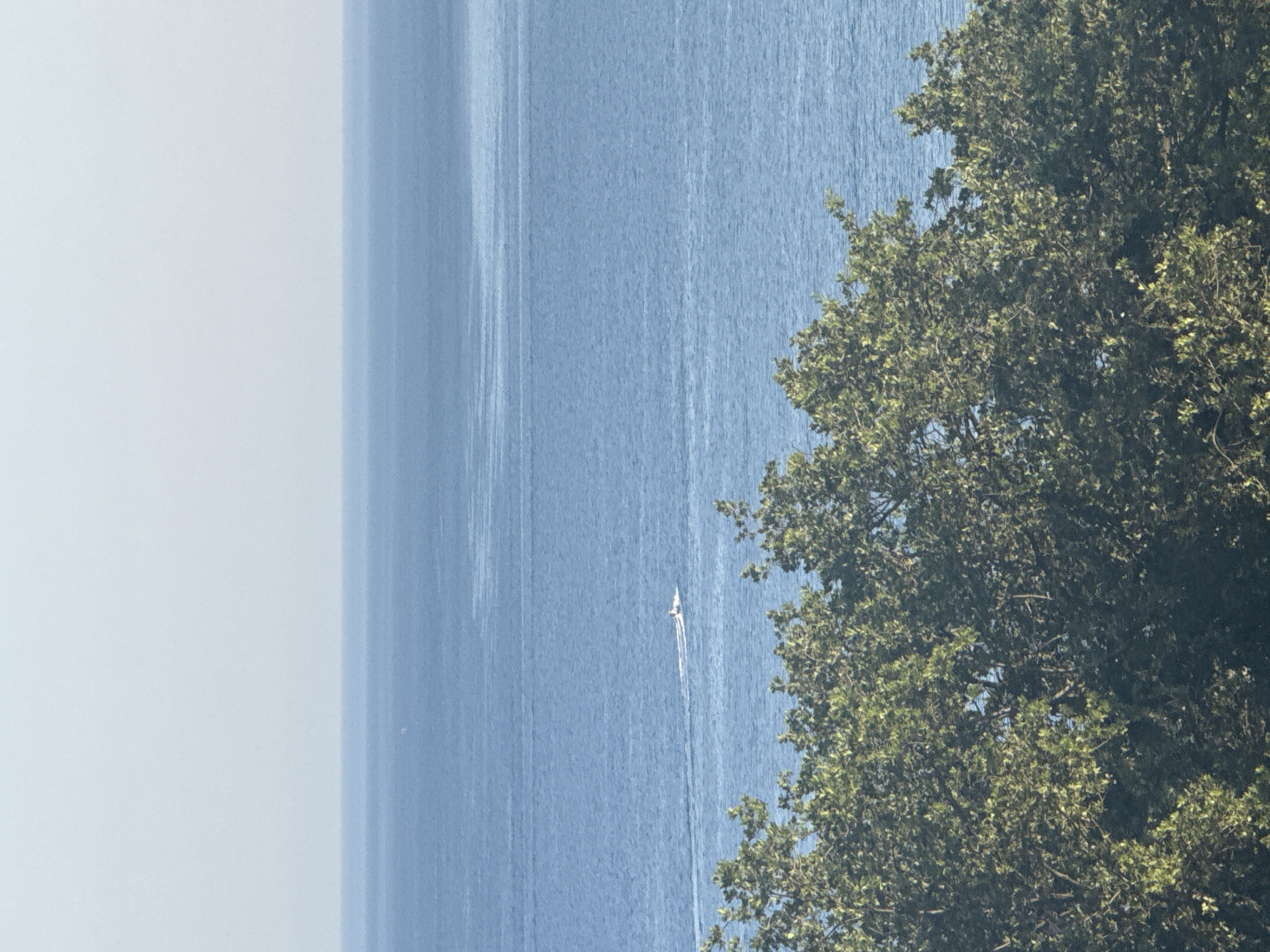 An image captures a serene seascape with a distant boat on a calm, blue ocean. The foreground is dominated by the lush green foliage of trees, suggesting a coastal setting in Boreti, Montenegro. The sky above is a pale, hazy blue, blending seamlessly with the horizon. The overall impression is one of tranquility and natural beauty.