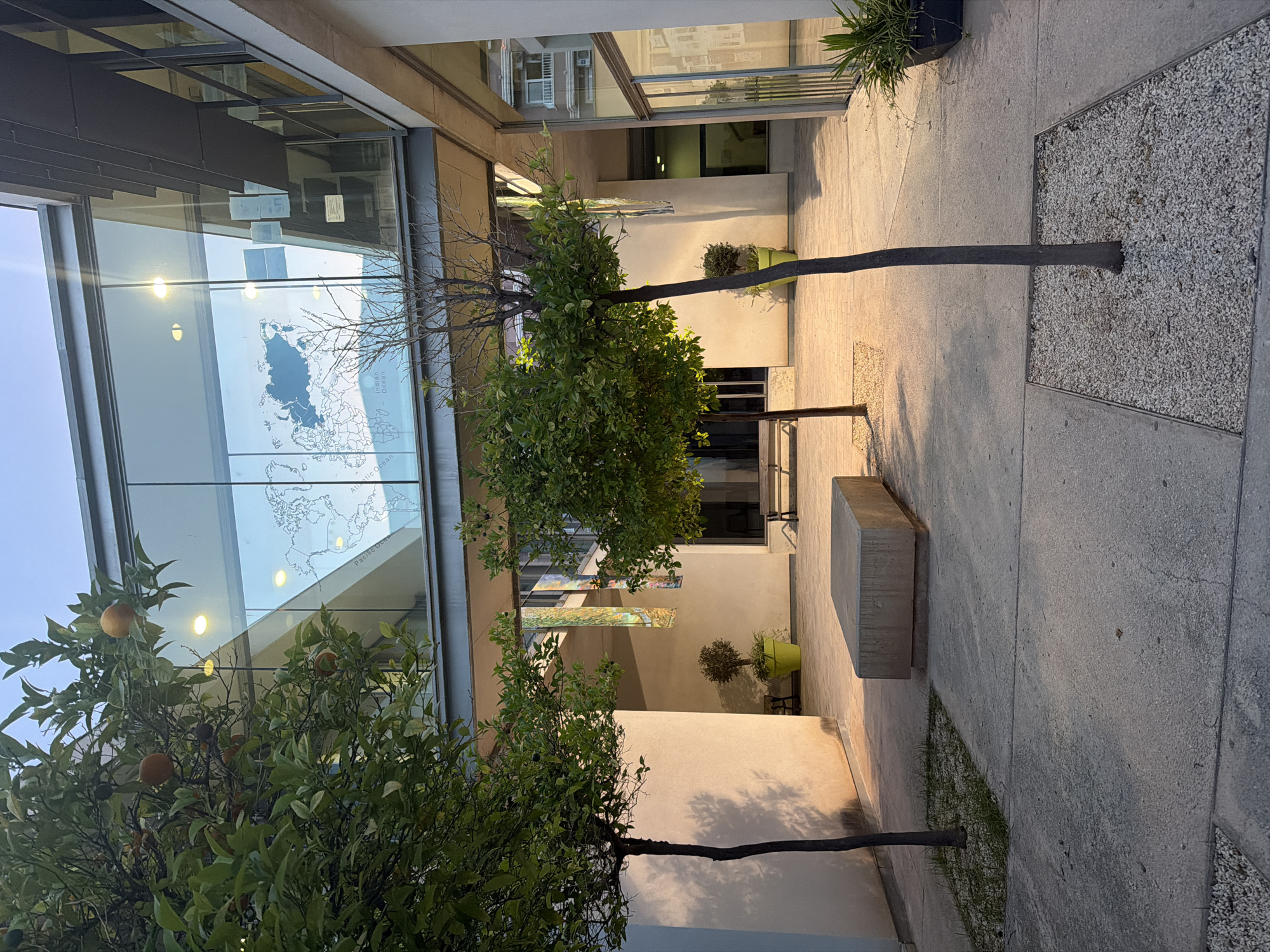 An outdoor courtyard area is depicted in this image, likely part of a modern building complex in Elche, Spain. The courtyard features light-colored paving stones and is bordered by white walls and glass-enclosed walkways. Two young trees with sparse foliage are planted in the paved area. In the foreground, a large, rectangular concrete bench sits centrally. A second, smaller tree is visible in the mid-ground, adjacent to a bright green planter.
Above the courtyard, a glass ceiling is supported by a metal structure. The glass appears to be decorated with a world map projection, faintly visible due to reflections and lighting. The ambient light suggests it is late afternoon or early evening. The architecture is contemporary, with clean lines and expansive glass surfaces. The overall impression is one of an urban, academic, or office space designed with an emphasis on natural light and modern aesthetics.