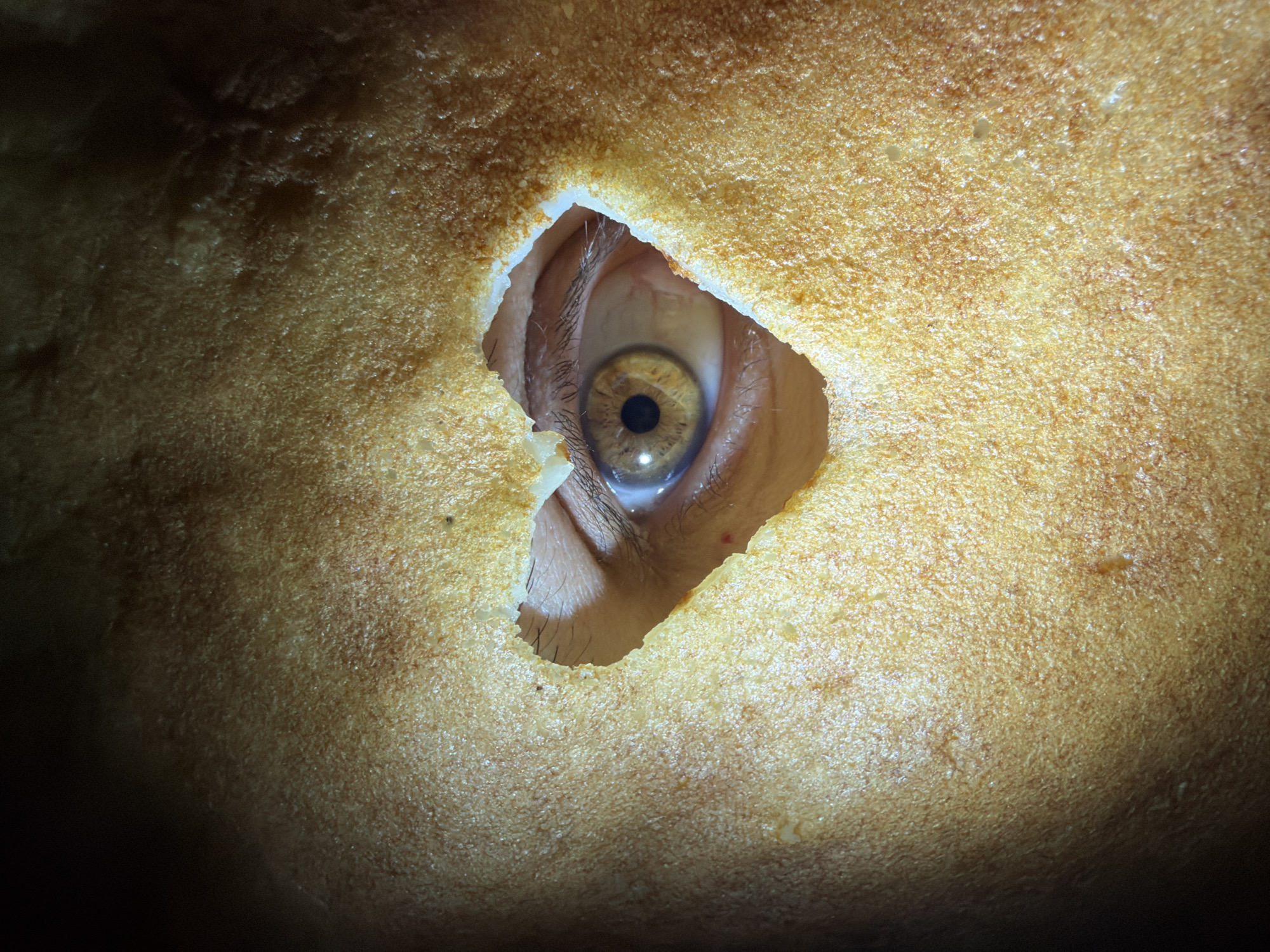 A close-up image shows a human eye peering through a rough, tan-colored surface. The eye has a hazel iris and is surrounded by eyelashes. The surrounding surface appears porous and uneven, with varying shades of tan and brown. The upper and lower edges of the "hole" through which the eye peers appear jagged. The bottom left and bottom right edges of the image are significantly darker. There is no indication of the location or that this image has been taken in Chaikovsky, Russia.