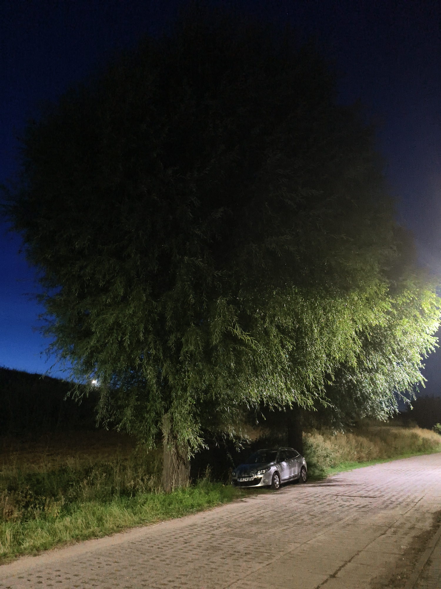 A silver hatchback car is parked on the side of a paved path under the canopy of a large tree at night. The car is facing right and appears to be off the main path, partially on the grass. The tree is dense with foliage, and some of its branches hang over the car. The sky is dark blue, indicating it is night or twilight. The path is made of cobblestones and runs diagonally from the lower left to the upper right of the image. To the left of the path and tree is a grassy embankment. The scene is illuminated by artificial light, likely a streetlamp, which casts light on the right side of the tree and the path. The car's license plate is partially visible and shows Polish characters. This scene is located on the street Jantarowa in Tczew, Poland.