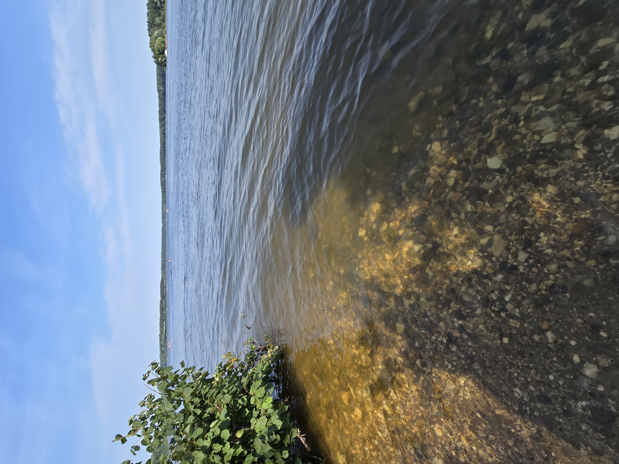 The image shows a body of water with a visible shoreline of rocks and pebbles. On the left side, a green bush with dense foliage overhangs the water. The water itself is clear in the foreground, allowing the rocky bottom to be seen, and becomes darker and more opaque further out. In the distance, a tree line forms the far bank of the water, with a clear blue sky above containing sparse clouds. Several small boats are visible on the water in the distance. The location is the shore of the Kuybyshev Hydroelectric Station named settlement, Russia.