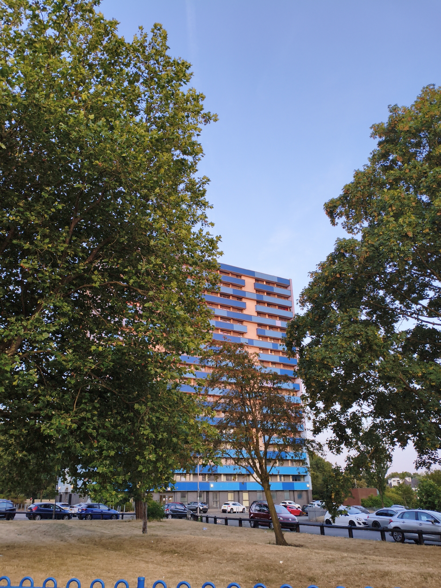 This is a photograph taken in the city of Sandwell, United Kingdom, likely during daylight hours with a clear sky. The image depicts a residential high-rise building with a distinctive pink and blue facade, interspersed with balconies. The building is partially obscured by the lush green foliage of two large trees in the foreground, one on the left and one on the right, framing the central structure. A smaller, bare-branched tree stands in front of the building. Below the trees, a row of parked cars is visible along a road and parking area, including a blue hatchback, several white cars, and a dark-colored SUV. A patch of dry, golden grass occupies the lower portion of the image, with a blue metal fence running along its edge. The overall scene suggests an urban residential environment, possibly an estate or apartment complex.
