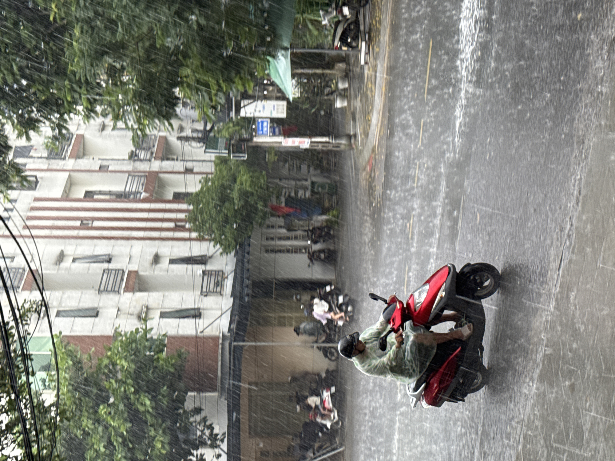 The image captures a rainy day scene in Da Nang, Vietnam, with a person riding a red scooter through the downpour. The rider, wearing a light green rain poncho and a dark helmet, is the central subject, navigating the wet, grey asphalt road. The scooter is red and black, with its headlights on.
The background depicts a typical urban environment. To the left, a multi-story building with white and red striped accents and balconies is visible, partially obscured by lush green trees and a dense network of power lines. Further down the street, other parked scooters and a few other people can be seen under awnings or in the background, also seemingly affected by the rain. The overall impression is one of a busy city street during a heavy rain shower.
The weather is clearly rainy, with visible streaks of water falling and pooling on the road, creating reflections. The sky appears overcast, suggesting it is likely daytime, though the specific time is not discernible. The presence of scooters and the architectural style of the buildings are indicative of Southeast Asian urban life, specifically consistent with the provided location context of Da Nang, Vietnam. No discernible text is visible in the image.