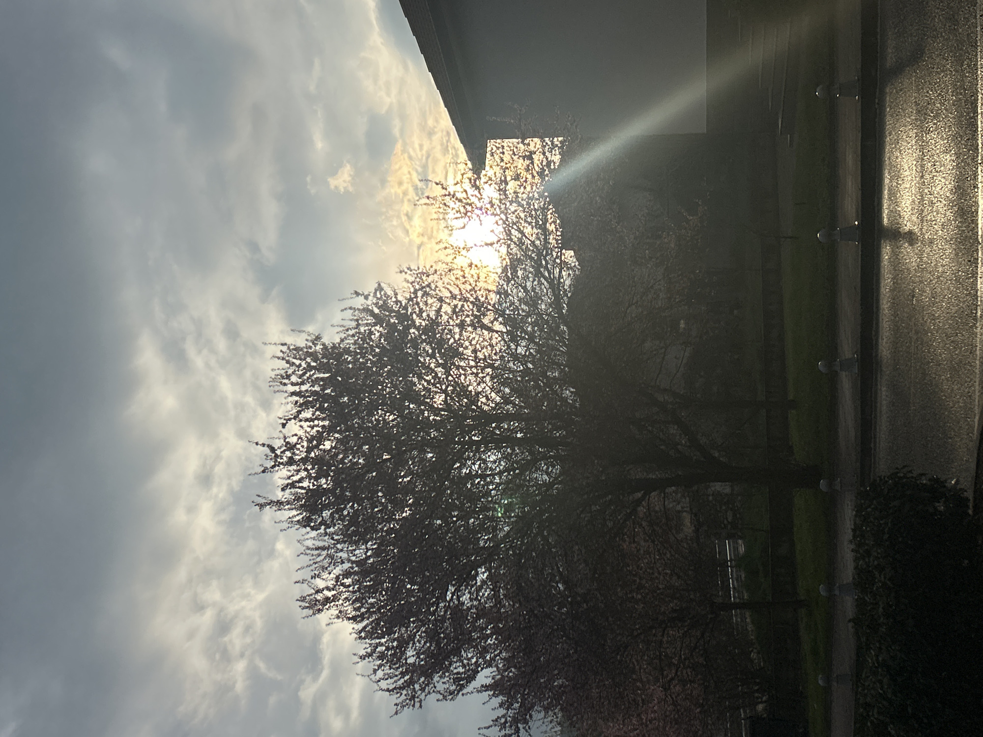The image presents an outdoor scene with the sun obscured by clouds and silhouetted trees. A building's edge is visible at the top right, with light refracting off its surface. A wet road runs along the right edge, reflecting light. A tree with budding branches dominates the foreground, partially obscuring the sun. A path runs alongside the road with small light posts. The photograph appears to be taken from within a building or sheltered area. The location, Zlatograd, Bulgaria, cannot be confirmed from the image content.
