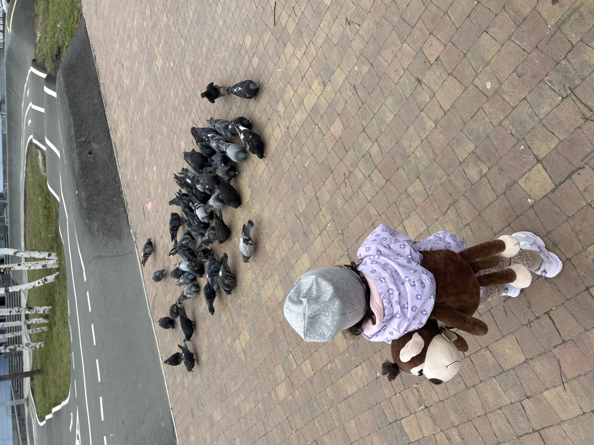 A high-angle photograph depicts a scene on a brick-paved area in Uray, Russia. A child in a grey hat and purple floral-patterned jacket is lying on their side next to a large stuffed animal resembling a deer or donkey. A flock of approximately 30 pigeons are gathered to the left of the child, near the edge of the pavement where it meets a road or walkway. The road has white lines marking lanes. Beyond the road, there is green grass and a building structure with white vertical supports. The pavement is made of reddish-brown bricks.