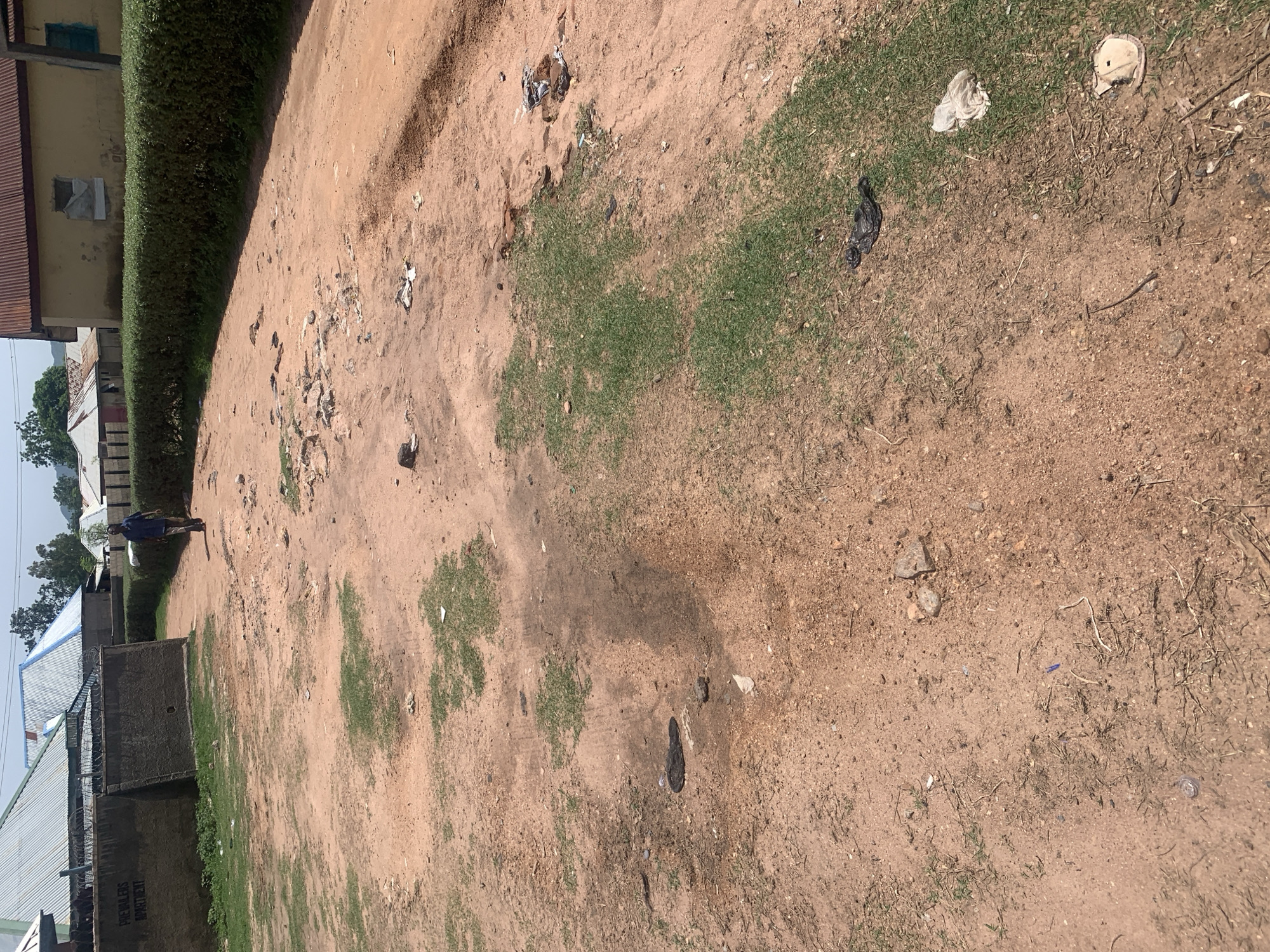 The image depicts an outdoor scene in Jauro Yinu, Nigeria. A dirt path with patches of dry grass and scattered debris runs through the foreground. In the background, several buildings with corrugated metal roofs are visible, some appearing weathered. A tall, dense green hedge borders the right side of the path. A single man, dressed in a blue short-sleeved shirt and dark pants, is walking away from the camera on the path. The environment appears to be a rural or semi-urban setting with evidence of ongoing development or maintenance.