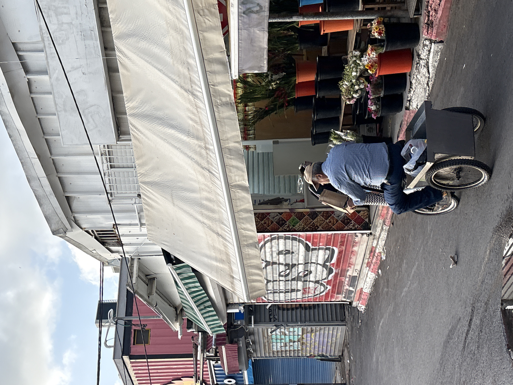 A street in Tel-Aviv, Israel, features a person with a gray hat and a light blue shirt, riding a small, dark gray cart along a paved street. The street is lined with shops or stalls, some with awnings. The awnings are various colors including white, green and white striped, red, and blue. Some shops are decorated with graffiti. Various potted plants are stacked in the background. The sky is partly cloudy.