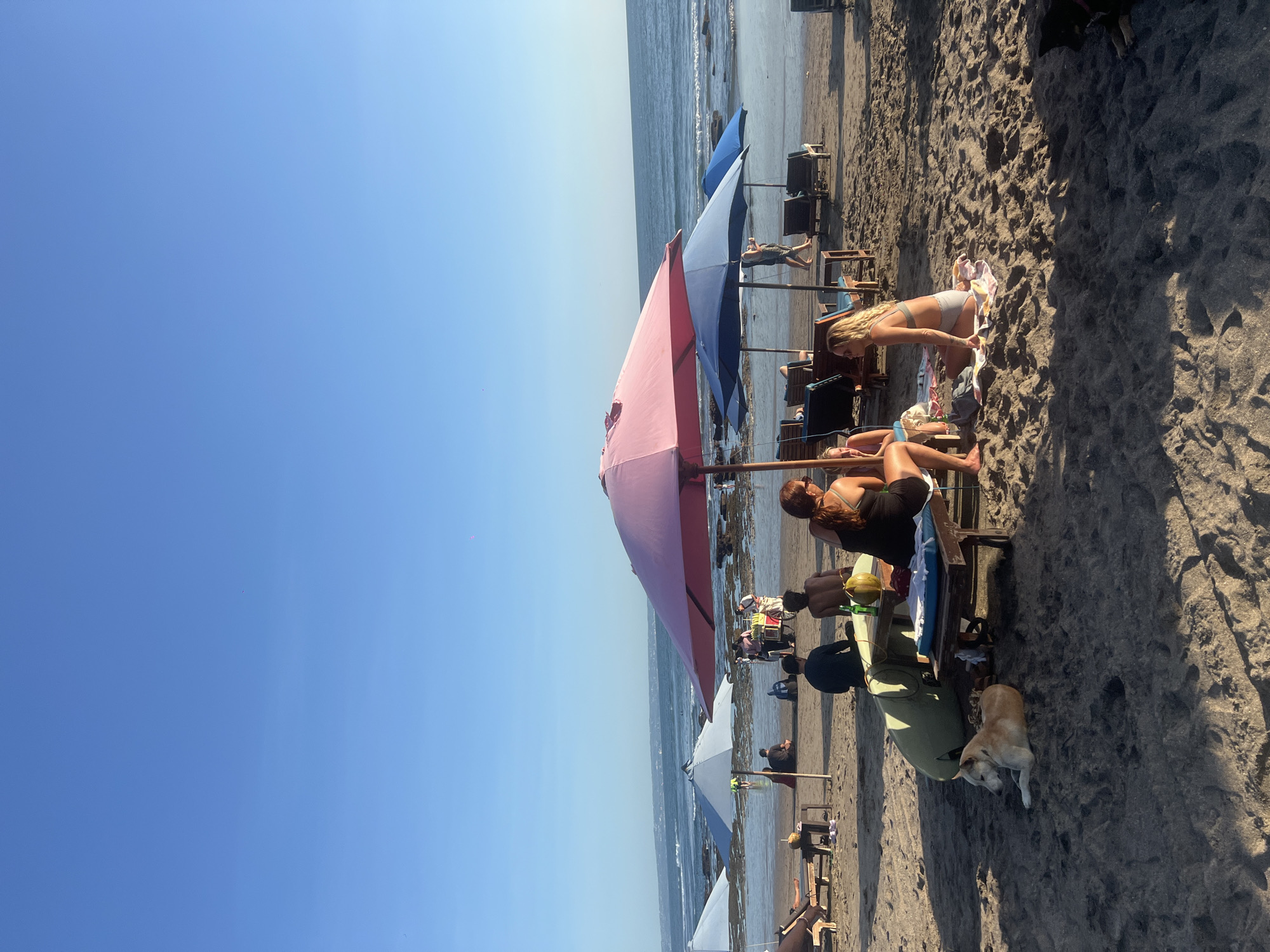 On a beach in North Kuta, Indonesia, under a clear blue sky, a row of beach umbrellas provides shade for beachgoers. The umbrellas are a mix of pink, blue, and white. Some people are sitting on beach chairs, while others are sunbathing or standing nearby. A light brown dog is also present, lying on the sand near one of the chairs. The sand is dark, and the sea is visible in the background, with waves breaking on the shore.