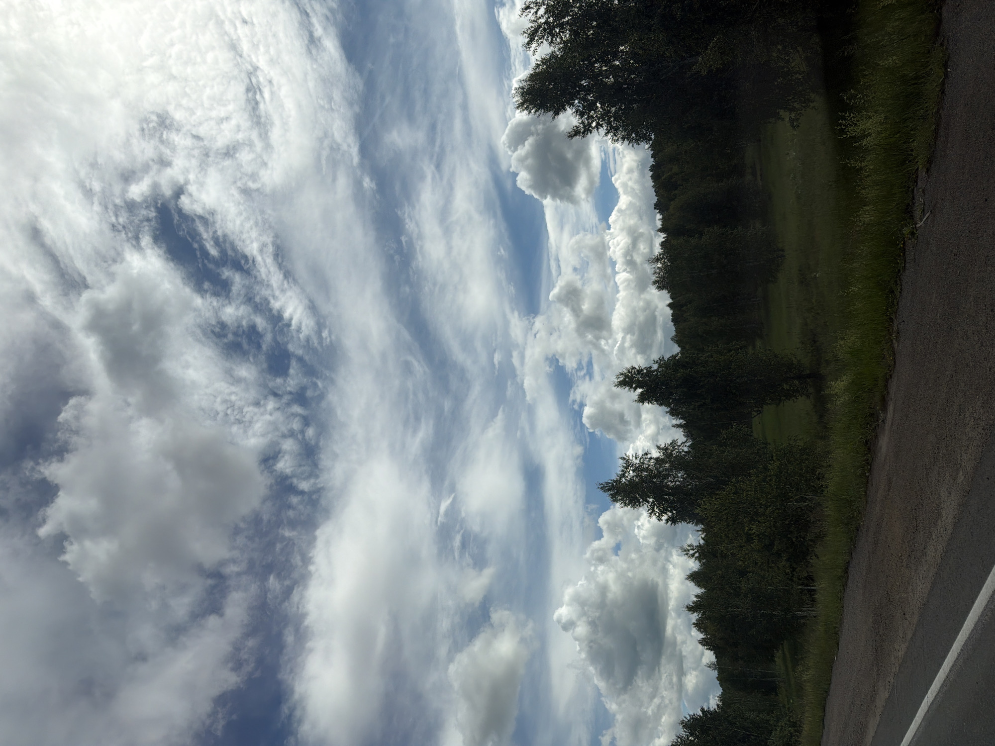 The image depicts a rural landscape scene, likely taken near Poletaevo 1th, Russia, under a dynamic sky. A paved road with a white line runs along the bottom left of the frame, bordering a grassy verge. Beyond the verge lies a field of tall green grass, transitioning into a dense line of dark green deciduous trees forming the treeline of a forest. The sky is a dominant feature, filled with a mix of large, puffy white cumulus clouds and wispy cirrus clouds, against a backdrop of bright blue sky. The overall impression is of a natural, undeveloped area on a cloudy day.