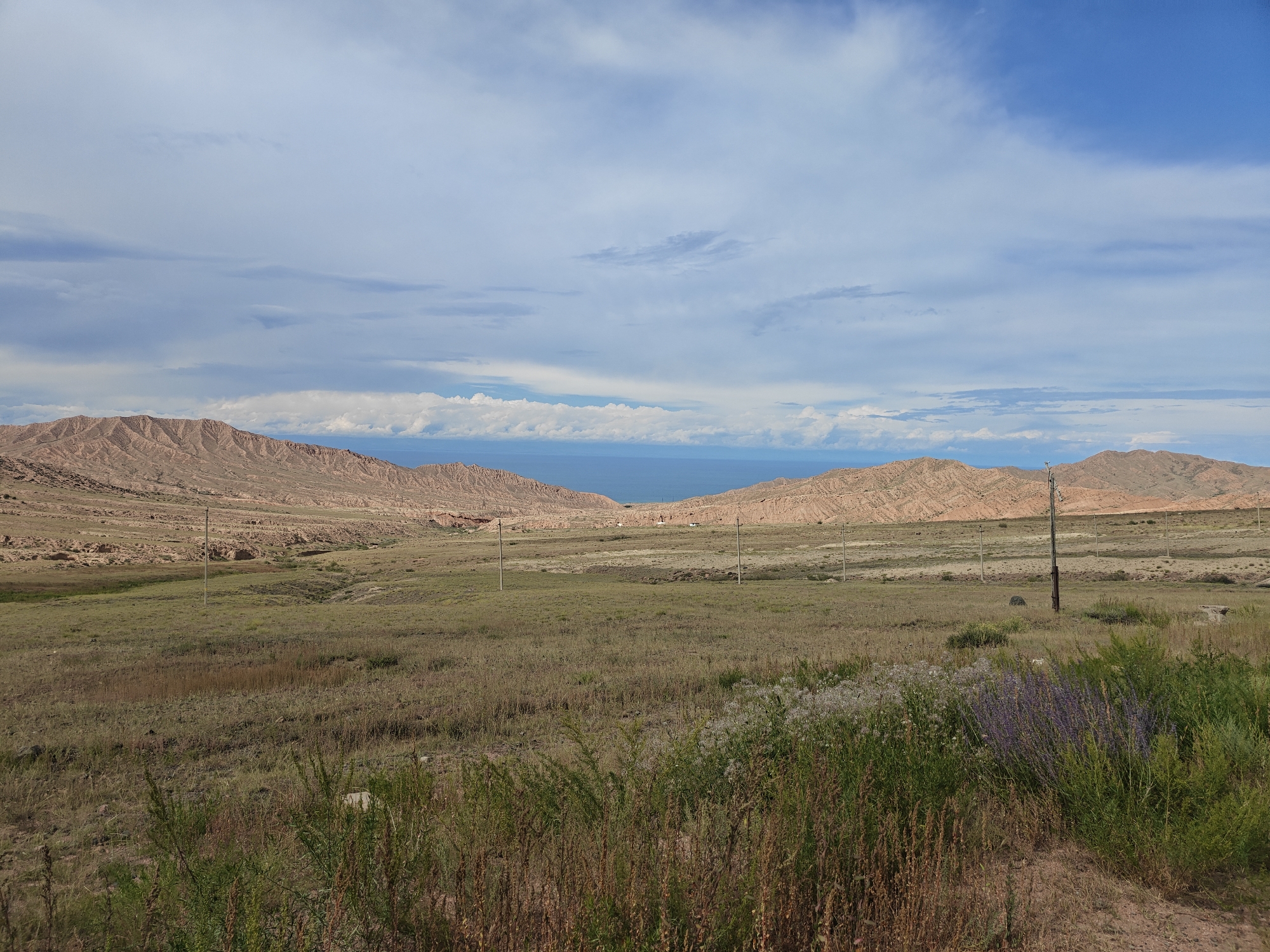 An expansive, open landscape scene is captured under a partially cloudy sky. In the foreground, dry grasses and low-lying green vegetation dominate, with scattered wildflowers, including purple and white blooms, interspersed. A dirt path or road is visible on the far right. In the midground, a vast expanse of dry, grassy fields stretches out, punctuated by several utility poles that are spaced out across the terrain. Beyond the fields, rugged, eroded hills with layered rock formations in shades of tan and brown rise up. In the distance, a body of water, likely a lake, is visible between the hills, reflecting the blue of the sky. The horizon is defined by more undulating hills under a sky filled with scattered white and gray clouds. The overall environment appears arid and undeveloped. This scene depicts the natural landscape in the vicinity of Kadji Say, Kyrgyzstan.
