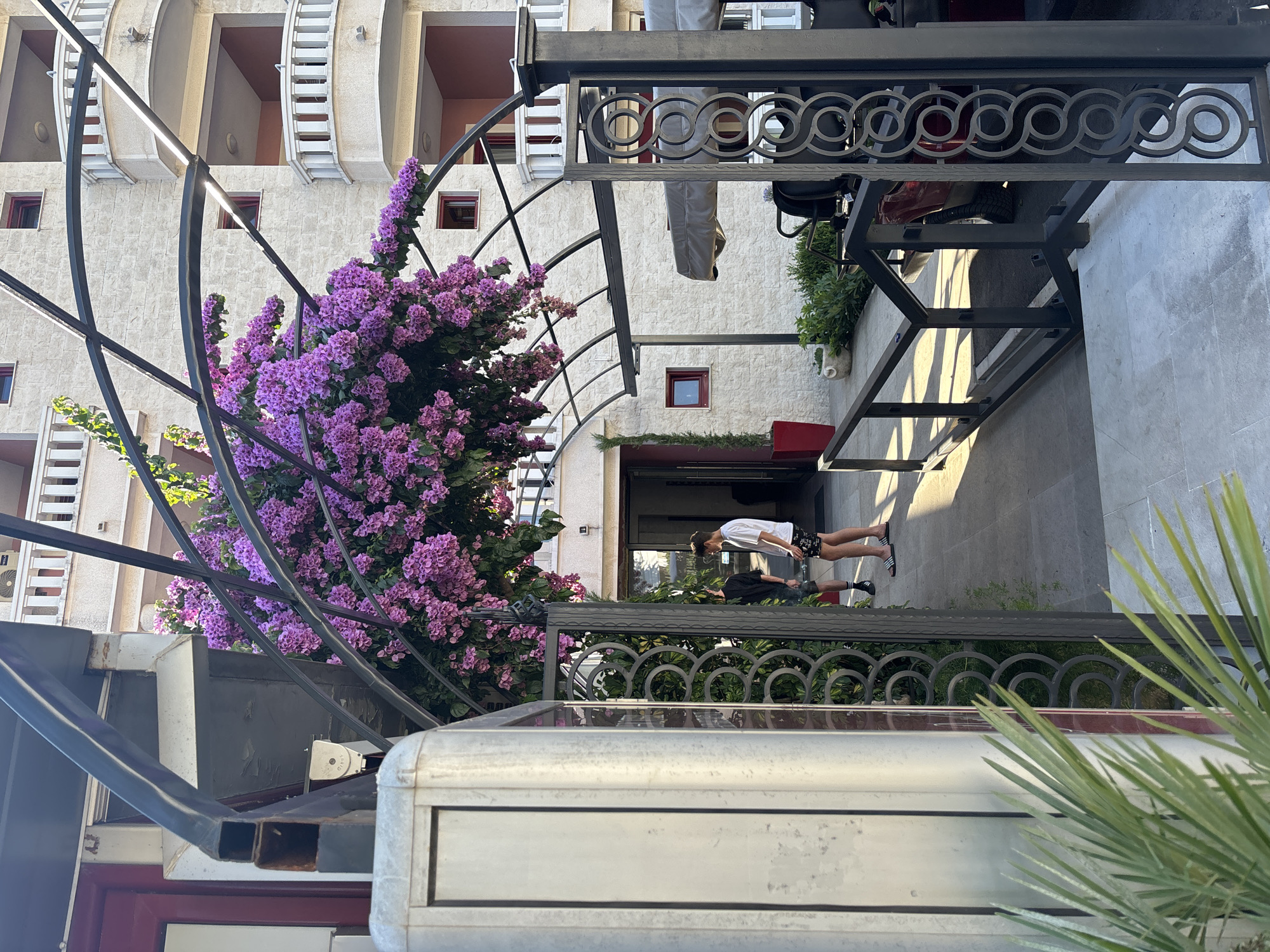The image depicts an outdoor scene in Budva, Montenegro, featuring an entrance area with a modern architectural design and lush vegetation. A metal archway covered with vibrant purple bougainvillea flowers frames the entrance. To the left, a tall, metallic structure, possibly a kiosk or utility box, stands beside a glass door.
In the center of the frame, a paved walkway leads towards an open doorway. Two individuals are visible on this walkway. One person, wearing a white t-shirt and black shorts with white accents, is facing away from the camera and looking towards the doorway. Another person, wearing a black t-shirt and shorts, is standing slightly behind and to the left of the first individual, also facing the doorway.
The background reveals a building with multiple balconies, characterized by white railings and light-colored textured walls. The overall environment suggests a warm, sunny day, with shadows cast on the pavement indicating the sun's position. To the right, partially visible, are elements of what appears to be a golf cart or similar vehicle, along with more green foliage and potted plants. The foreground is occupied by the lower portion of the metal archway and a hint of green palm fronds.