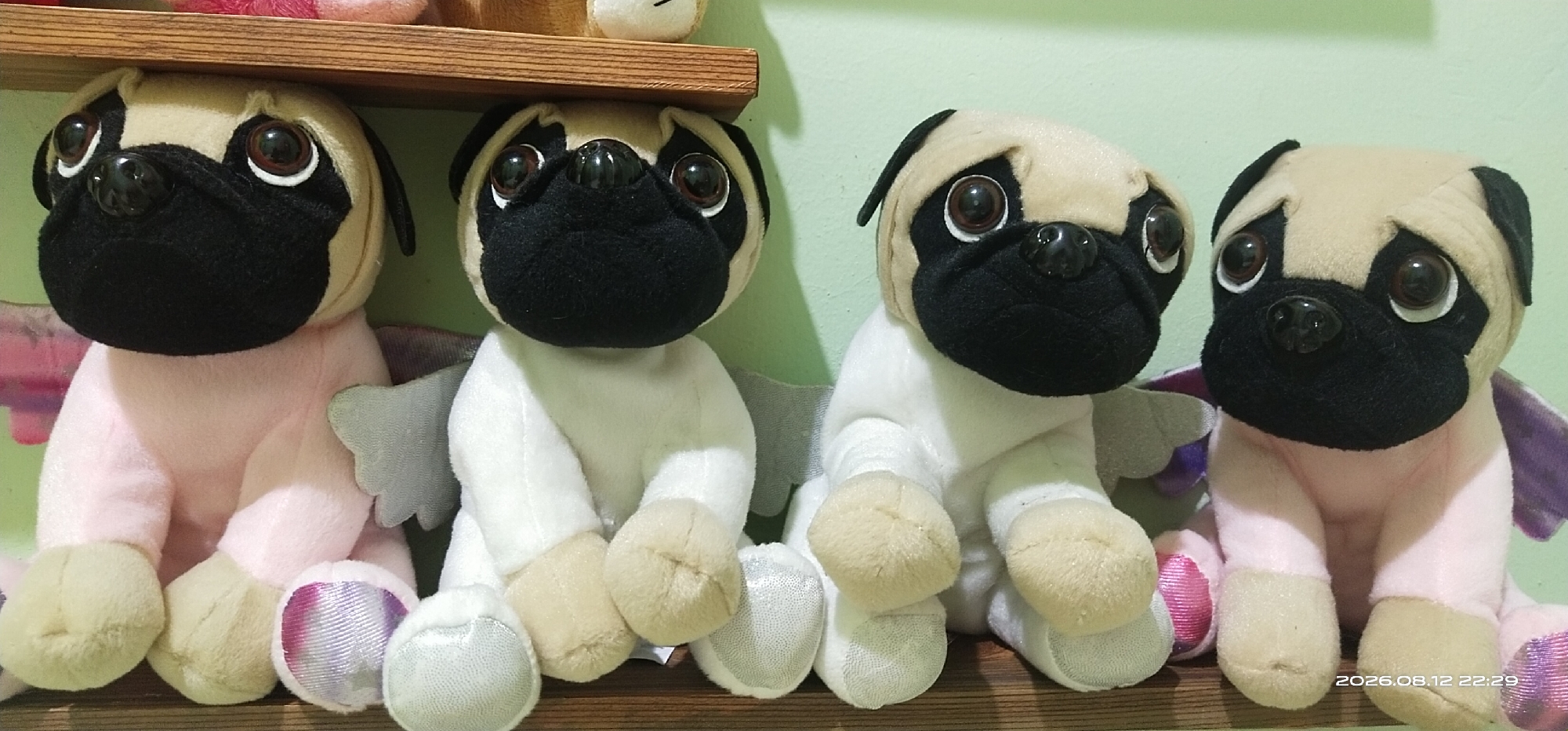 Four plush pug toys are positioned side-by-side on a wooden shelf. The toys have tan bodies with black facial masks, floppy ears, and large, expressive eyes. The two leftmost pugs have pink and white bodies respectively, and the two rightmost pugs also have white bodies. All four appear to be wearing or have attached iridescent wings. The background is a plain light green wall. A wooden shelf is visible above the pugs. A timestamp in the lower right corner indicates the image was taken on August 12, 2026, at 22:29. The location is identified as Matabu, Indonesia.