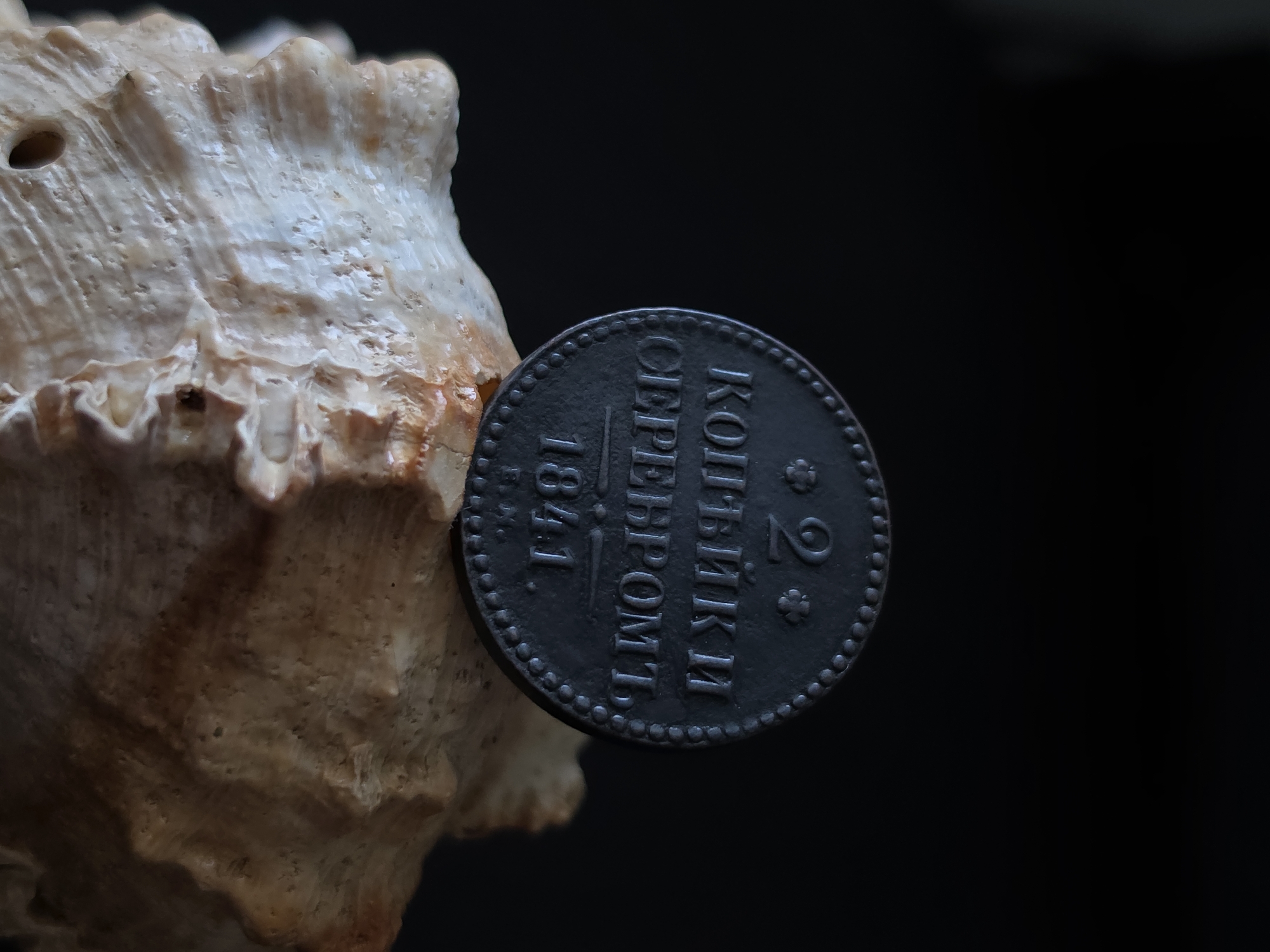 A dark, circular coin rests on a textured, light-brown seashell against a black background. The coin, with raised lettering and a beaded edge, appears to be made of metal. The inscription on the coin reads "2 КОПЬѢЙКИ СЕРЕБРОМЪ" and the year "1841". The seashell has a rough, layered surface with visible ridges and cavities. The lighting is focused on the coin and the upper portion of the seashell, creating a strong contrast with the dark background. The image is a still-life composition. No specific location in Strelna, Russia is discernible from the image.