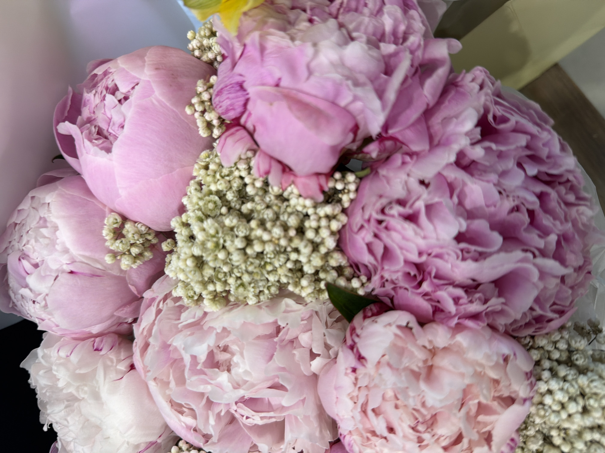 This media file is a close-up, eye-level shot of a bouquet of peonies. The flowers are in various shades of pink and white, with some featuring darker pink or purple streaks. Delicate white baby's breath flowers are interspersed among the peonies, adding texture and contrast. The petals of the peonies are full and layered, with some blooms appearing tightly closed while others are more open, revealing their intricate inner structure.
The lighting is soft and natural, suggesting it might be daytime. The background is blurred, with hints of pastel colors and a light-colored surface, possibly wrapping paper or a vase, and a darker area on the left which could be a shadow or part of the setting. The overall impression is one of softness, elegance, and natural beauty, evoking a sense of gentleness and perhaps celebration. No people, text, or specific location cues are visible, making the focus entirely on the floral arrangement. The close-up perspective emphasizes the details of the flowers, highlighting their textures and subtle color variations.
