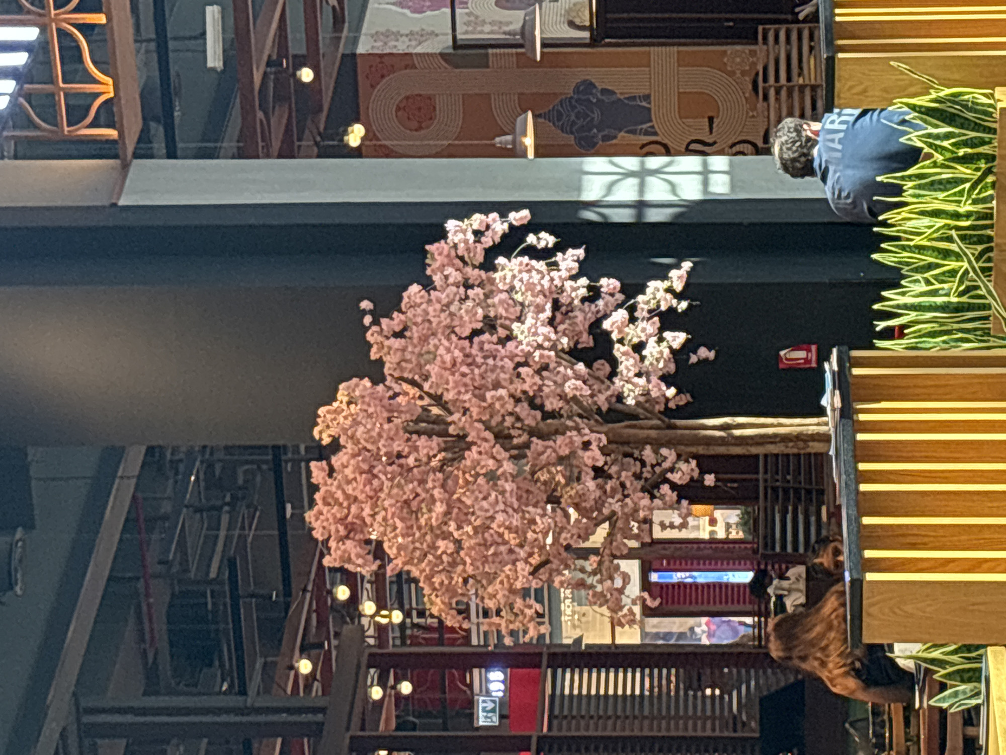 The image depicts an indoor scene, possibly a restaurant or cafe, in Dubai, United Arab Emirates. A prominent artificial cherry blossom tree with pink flowers stands in the center. To the left, a woman with long brown hair is seated, facing away from the camera. To the right, a man with short, dark curly hair is seated, facing away from the camera, wearing a dark blue shirt with white lettering on the back that appears to read "AR". In the foreground, a planter filled with snake plants is visible, with a wooden partition behind it. The background reveals architectural elements, including exposed ceiling structures, lighting fixtures, and decorative wall art.