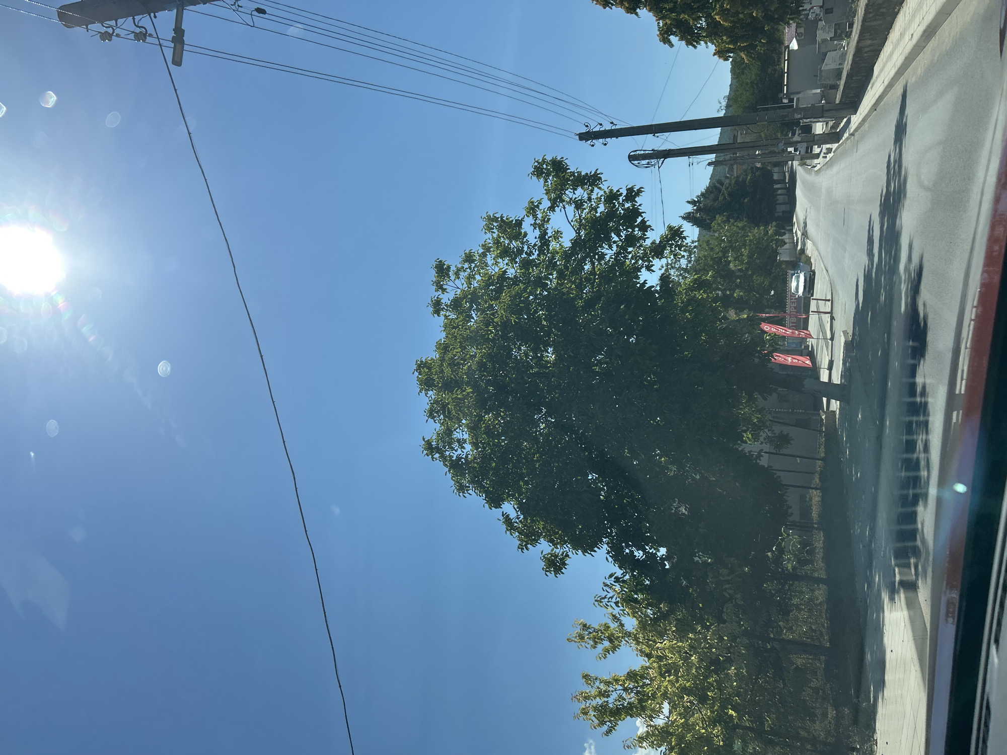 The image depicts a street scene in Markovo, Bulgaria, on a bright, sunny day. A paved road curves gently to the right, bordered by sidewalks and low walls. Several trees, some with lush green foliage and others with lighter green leaves, line the street. On the left side of the road, a large, mature tree with dark green leaves stands prominently. Behind the trees, buildings and houses are visible, suggesting a residential or semi-urban area. Telephone poles with wires run along the right side of the road. The sky is a clear, bright blue, with the sun shining intensely, causing lens flare in the upper portion of the image. A few red flags are displayed on poles near the left sidewalk, with text on them that is partially visible. Two cars are parked along the street, one white sedan on the left and a darker vehicle further down the road on the right. Shadows from the trees and power lines are cast on the road and sidewalks. The perspective suggests the photo was taken from inside a vehicle.