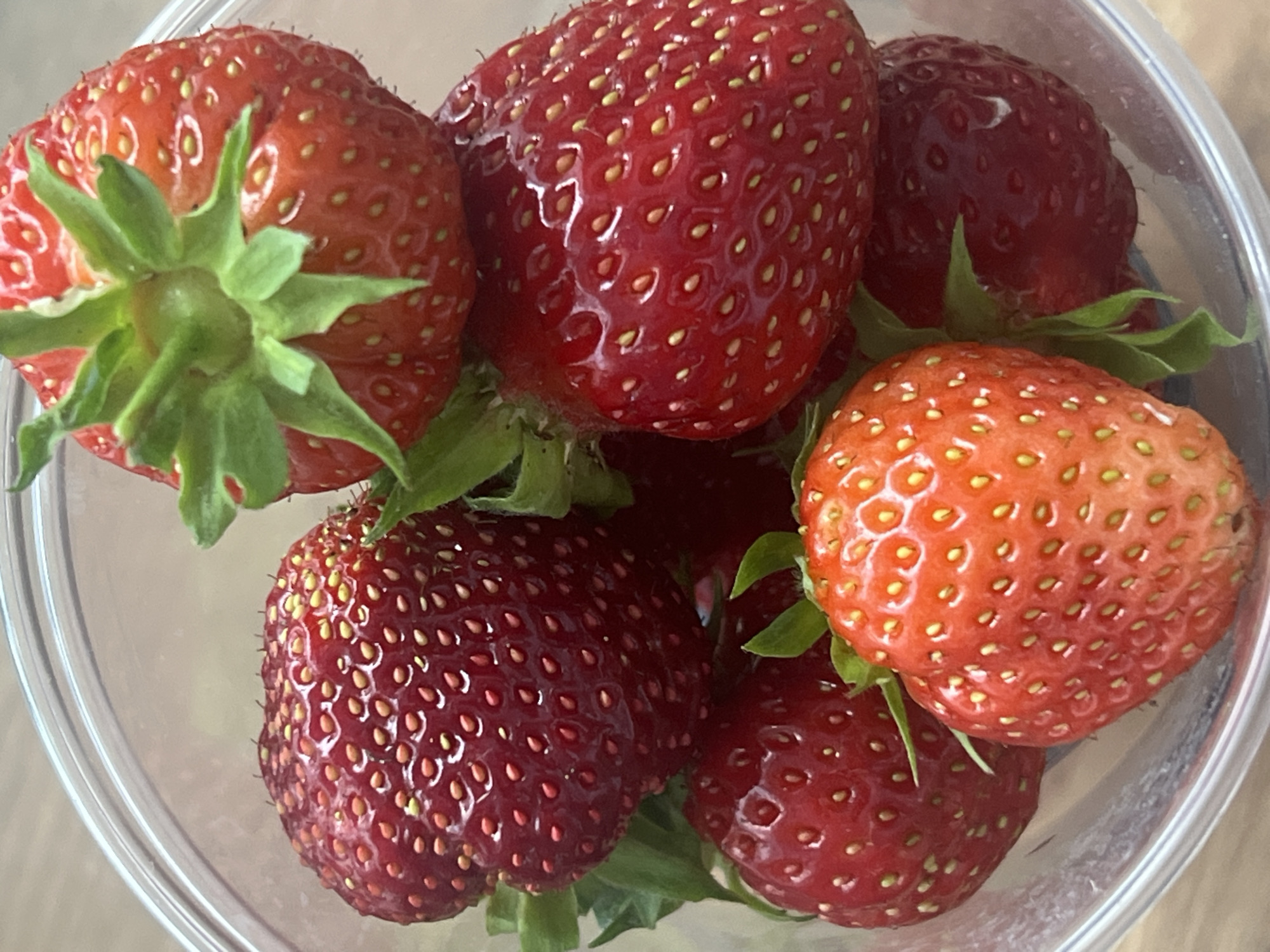 This media file is a close-up, overhead shot of a collection of fresh strawberries in a clear plastic container. The strawberries are the primary subjects, displaying a variety of ripeness and shades of red, from bright red to a deeper, richer red. Many of the strawberries still have their green leafy tops attached. The seeds of each berry are clearly visible as small yellow dots on their surface, and some have a slight sheen indicating their freshness. The setting appears to be indoors, as suggested by the lighting, and the clear plastic container implies they might be prepared for consumption or storage. There are no people, text, or specific time of day or weather cues visible. The overall impression is one of a simple, natural food item presented in a straightforward manner.