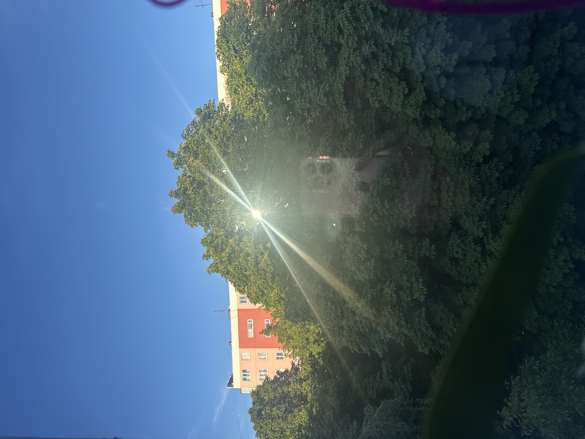 The image, taken in Stavropol, Russia, captures an outdoor scene looking upwards towards a bright, clear blue sky and lush green trees on a sunny day.
A multi-story building is visible on the left side of the frame, partially obscured by the foliage. The building displays distinct color segments: a white top portion, a prominent red-orange band across its middle, and a lighter, possibly peach or beige section towards its base. Several windows are visible on its facade, and an antenna or mast can be seen extending from its roof against the sky.
Dense, vibrant green tree foliage fills the right side and extends into the lower half of the image. The sun, positioned in the upper-right-center of the frame, creates a strong starburst lens flare, indicating intense sunlight. This bright illumination suggests it is daytime with clear weather. No people or visible text are present in the image. The scene conveys a bright, well-lit urban or suburban environment.