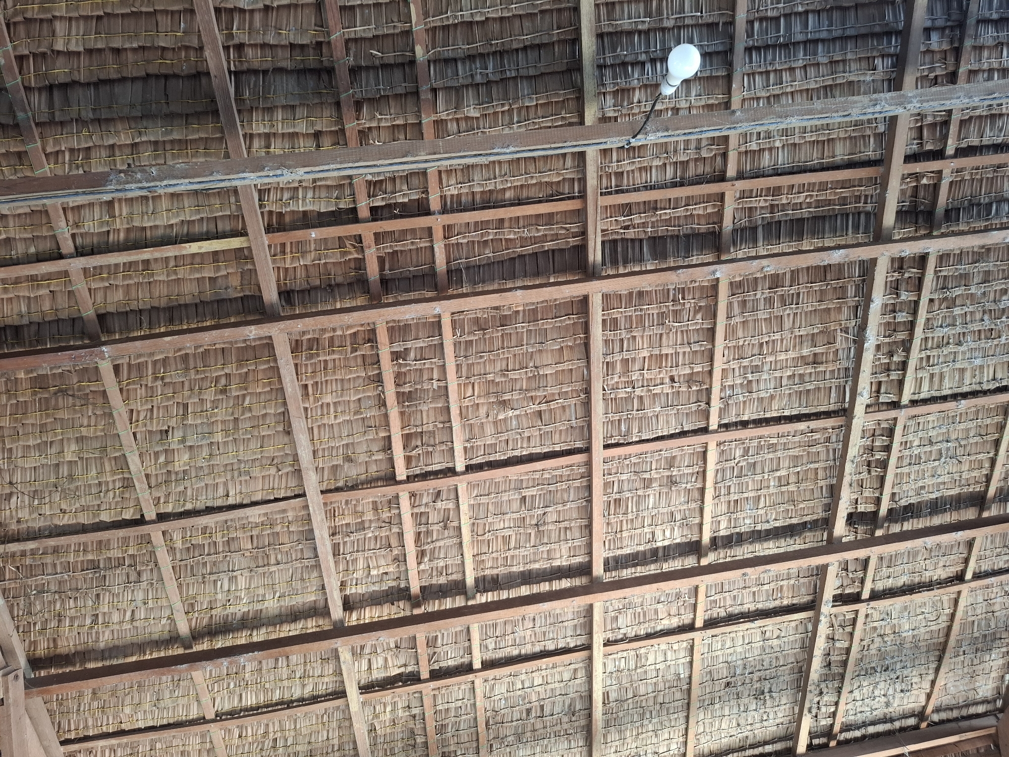 The image shows a close-up, low-angle view of a thatched roof made of dried palm leaves, supported by a wooden beam structure. The thatch is bundled and tied together with yellow string, creating a dense, textured surface. Wooden beams, some appearing weathered and rough, are arranged in a grid pattern, forming the framework of the roof. In the upper right portion of the image, a single, white, incandescent light bulb hangs from a wire, casting a faint light on the thatch. The scene appears to be an interior space with a rustic, possibly open-air, construction, characteristic of some structures in rural or traditional settings. The location is identified as Keuniree, Indonesia.