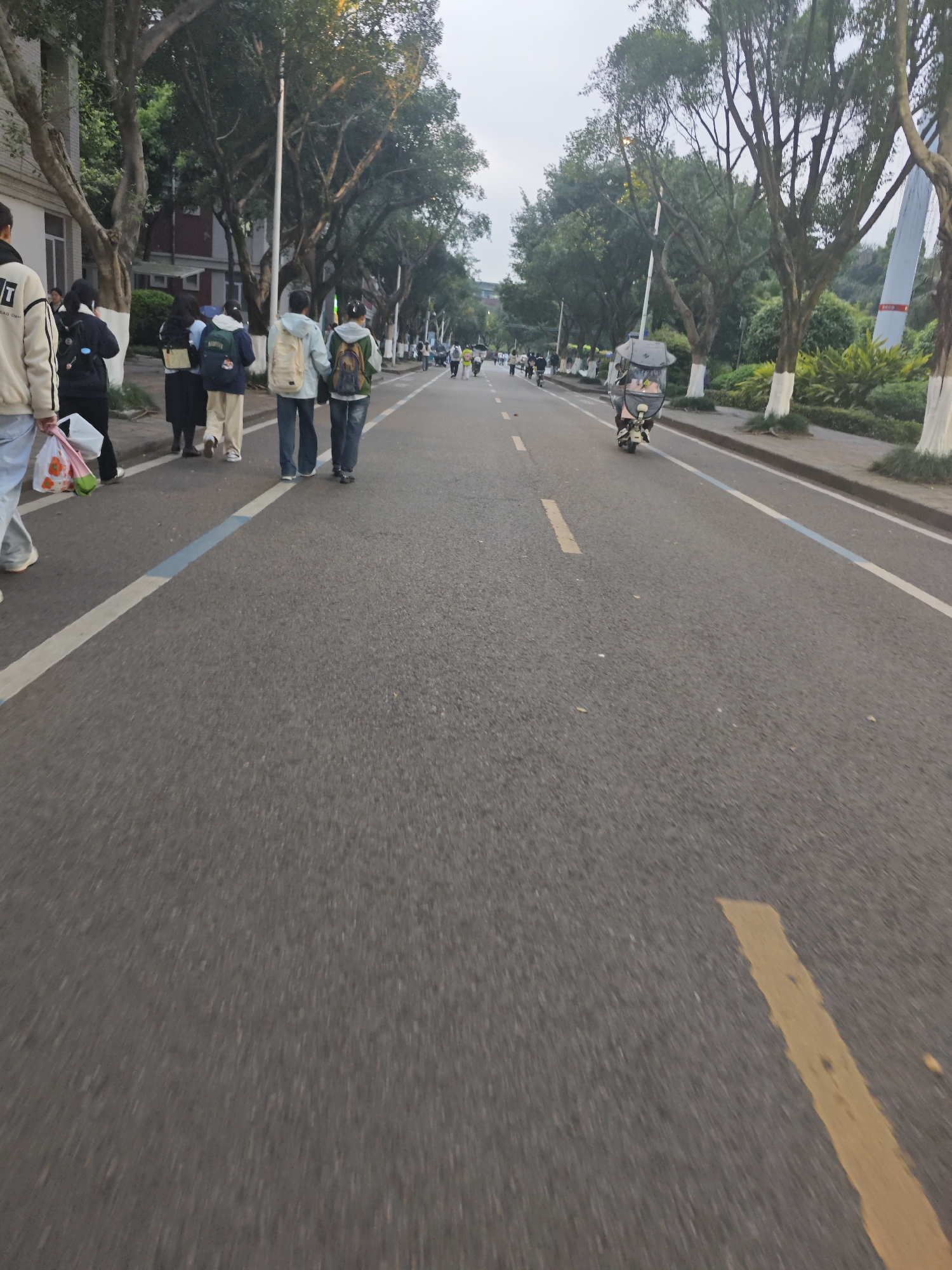 The scene depicts an outdoor street in the Chongqing High-tech Zone, China, observed from a low-angle perspective. The asphalt road surface is dark grey, featuring a solid white line on the left delineating a lane that includes a faded blue stripe. Further right on the main carriageway, a faded yellow dashed line is visible.
On the immediate left, a person's lower body and arm are visible, clad in light-colored pants and a light-colored jacket, holding a white plastic bag with red and orange graphics. This person is walking away from the camera. Ahead of them, a group of approximately eight to ten individuals, predominantly young adults, walk in the same direction within the left-most lane. They wear casual attire, including jackets and pants, and many carry backpacks of varying colors (black, dark blue, beige, and a green/gold combination). Behind these pedestrians, a light-colored building is partially visible, interspersed with mature trees.
On the right side of the road, a white three-wheeled electric scooter with a dark grey sun canopy is in motion, also traveling away from the camera. A raised concrete curb separates the roadway from a strip of green grass and dense shrubs. A line of mature trees with lower trunks painted white borders this green space, extending into the background. In the far distance on the right, a tall, angular, white architectural structure is prominent, possibly part of a modern building or bridge. Numerous additional pedestrians are visible further down the street in the background. The sky is overcast and uniformly grey, suggesting either early morning or late afternoon lighting conditions.