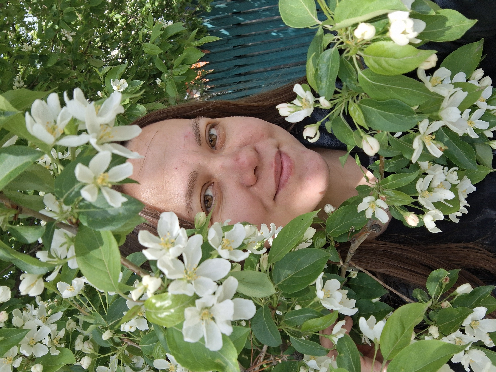 A woman's face is centered in the image, surrounded by blooming apple tree branches with white flowers and green leaves. Her face is angled towards the camera. Her hair is long and brown. Her skin is fair with a few minor blemishes. Behind the branches and the woman, part of a green painted fence is visible. The image might be taken outdoors in natural lighting. The exact location is Chaikovsky, Russia.