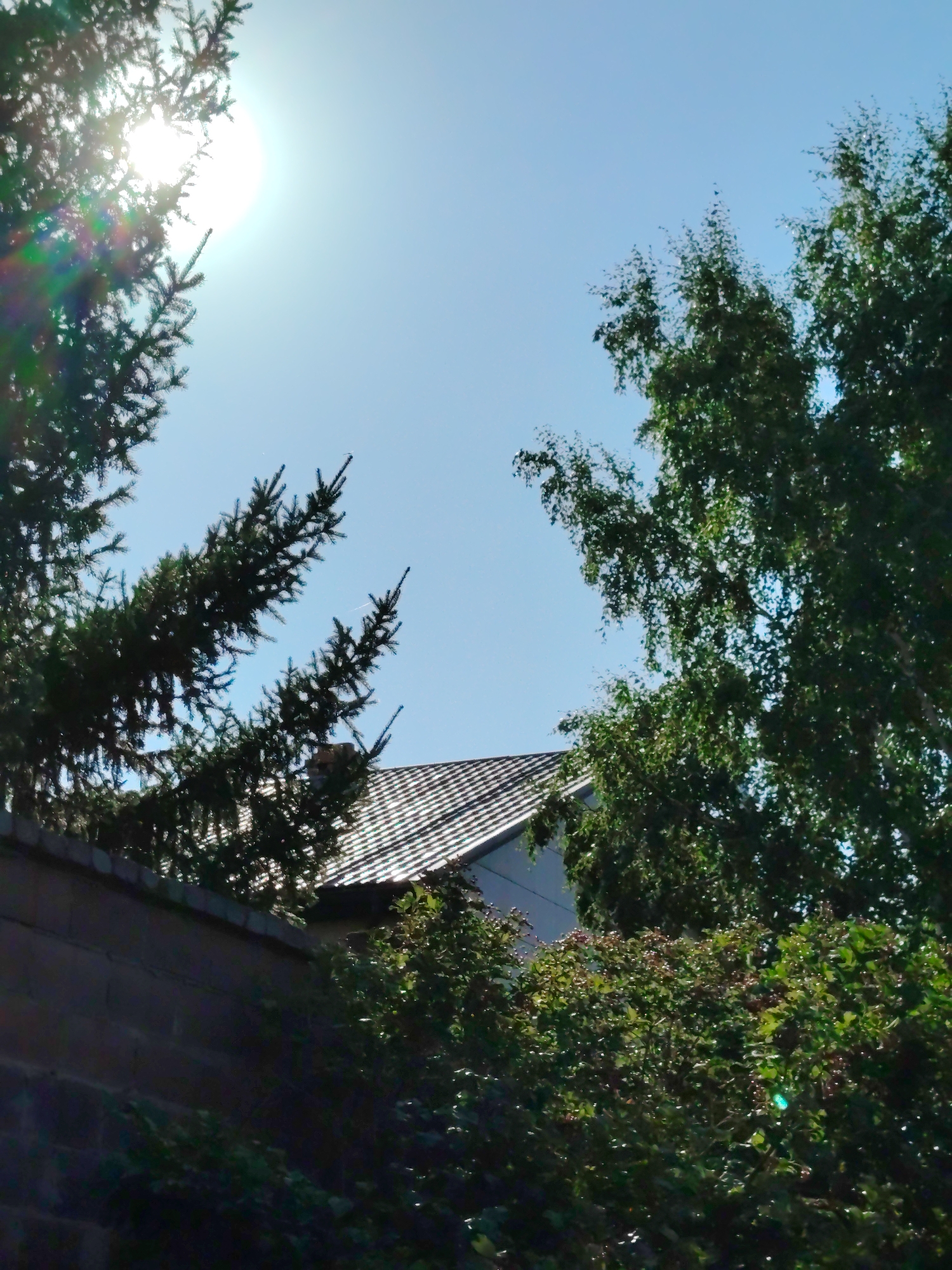 This is a low-angle, outdoor photograph captured on a sunny day, possibly in Astana, Kazakhstan, given the context. The scene is dominated by the bright sky, partially obscured by the branches of several trees. In the foreground, a portion of a brick wall is visible on the left, along with dense green foliage. Above the wall and foliage, the roof of a building with dark, possibly tiled, shingles is visible. A bright sun is positioned in the upper left quadrant of the image, with lens flare creating streaks of light and color, particularly visible against the dark evergreen branches in the foreground. On the right side of the image, the leafy branches of a deciduous tree, likely birch due to the light-colored bark visible in some areas, fill the frame against the clear blue sky. The overall impression is a suburban or residential backyard setting, with trees and a house roof peeking out. There are no people or overt actions depicted in the scene.