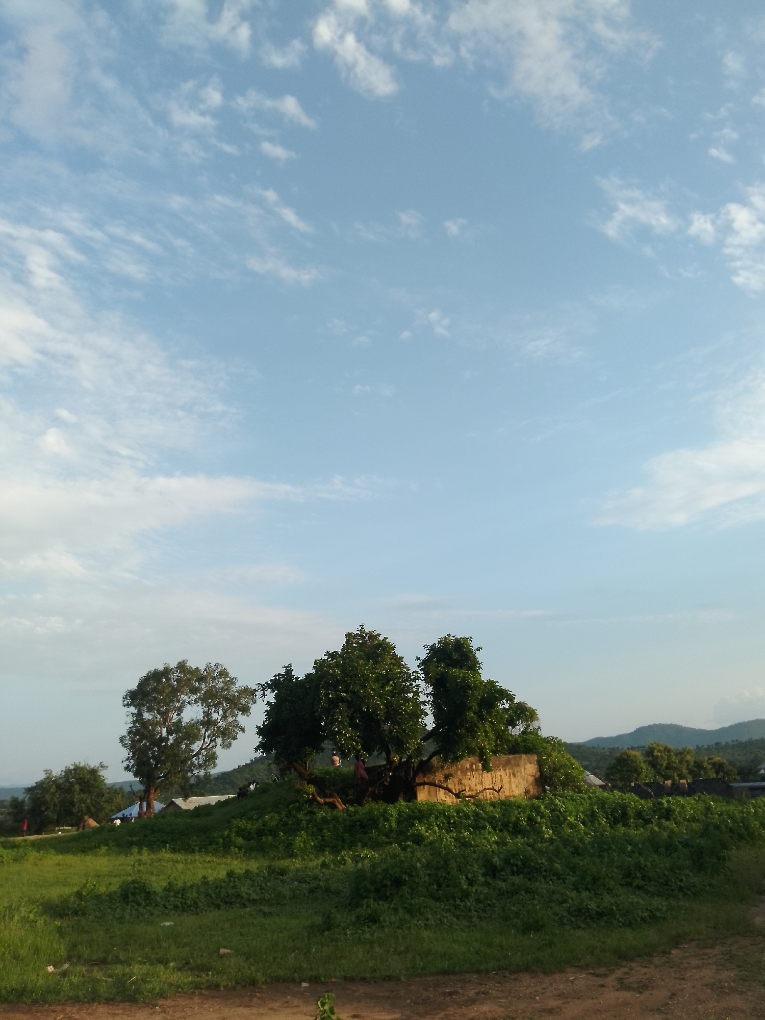 This is a medium shot, eye-level, outdoor photograph captured during the daytime under a partly cloudy sky. The scene depicts a grassy, hilly landscape with scattered trees and a rustic building in the middle ground. The sky is a prominent feature, taking up the top half of the frame with a soft blue expanse punctuated by white, wispy clouds.
In the middle ground, a low, long building constructed from stone or brick appears to be nestled amongst dense green foliage and large trees. One particularly large tree with a sprawling canopy stands to the left of the building. Several other trees with full, green leaves are visible throughout the scene, some on the hill and others further in the distance. The ground is covered in lush green grass, and the foreground consists of a dirt path or clearing. In the far distance, rolling hills or mountains are visible, shrouded in a light haze, suggesting a warm or humid atmosphere.
There are a few people visible in the image, scattered amongst the trees and near the building, but their activities are unclear due to the distance and resolution. Their presence suggests a community or a gathering, but the overall mood is tranquil and serene, likely due to the natural landscape and the gentle lighting. The time of day appears to be late afternoon or early evening, as the light has a soft quality, and the sky is not overly bright. No text is visible in the image.