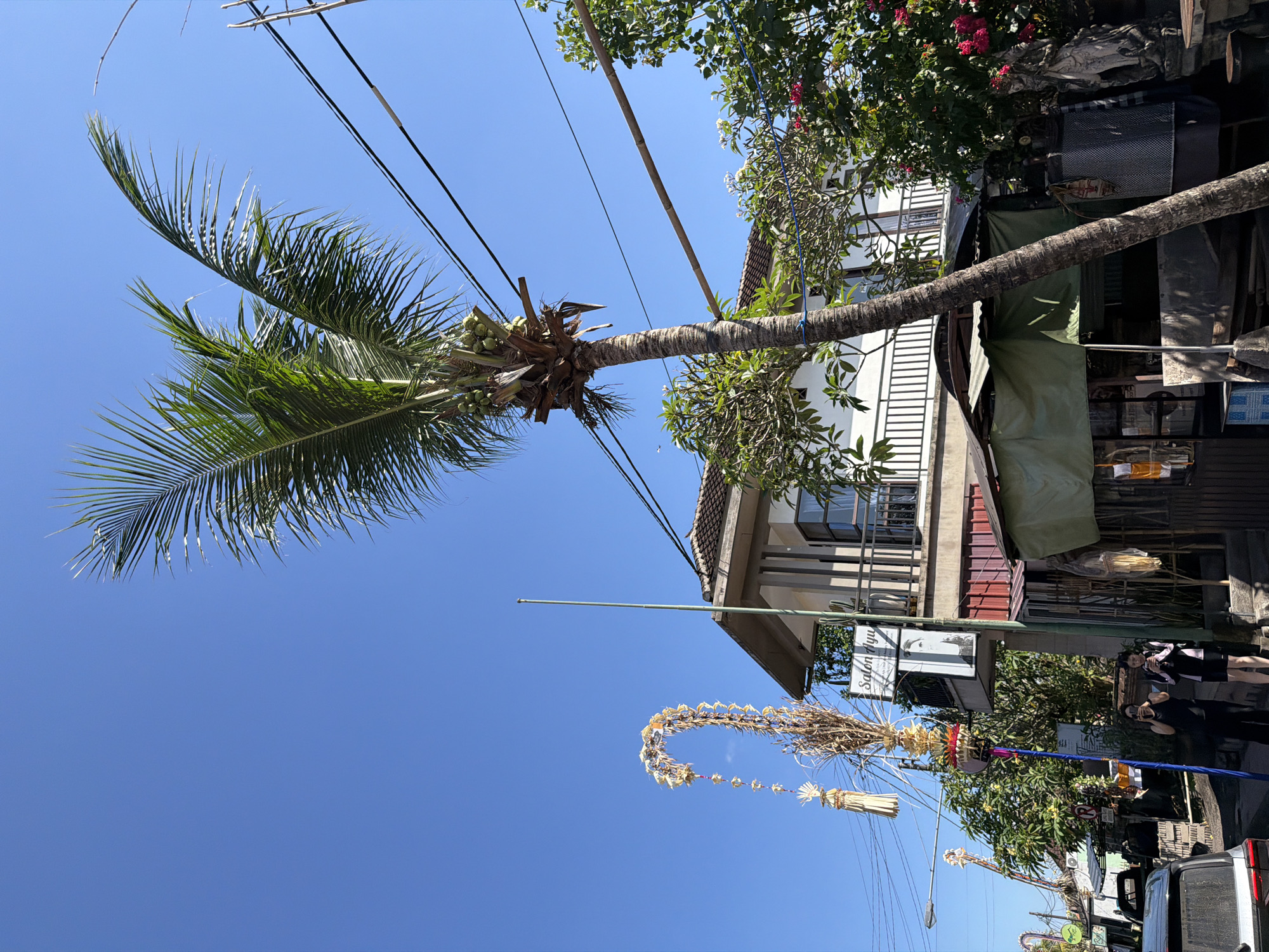 A bright, sunny day in Ubud District, Indonesia, is captured in this vertical, eye-level shot. A tall coconut palm tree dominates the right side of the frame, its fronds reaching towards the clear blue sky. The tree bears a cluster of green coconuts. In the background, a white building with a balcony and a terracotta-tiled roof stands. A small market stall with green awnings is situated in front of the building. On the left side of the image, traditional Balinese decorations, including a tall, arched yellow and white structure adorned with flowers and dried leaves, are visible against the sky. Two women are standing on the sidewalk in front of the building, one taking a photo with her phone and the other looking at her phone. Power lines crisscross the sky. The foreground shows a street with a parked car on the left. The scene depicts a typical street view with cultural elements and everyday life.
