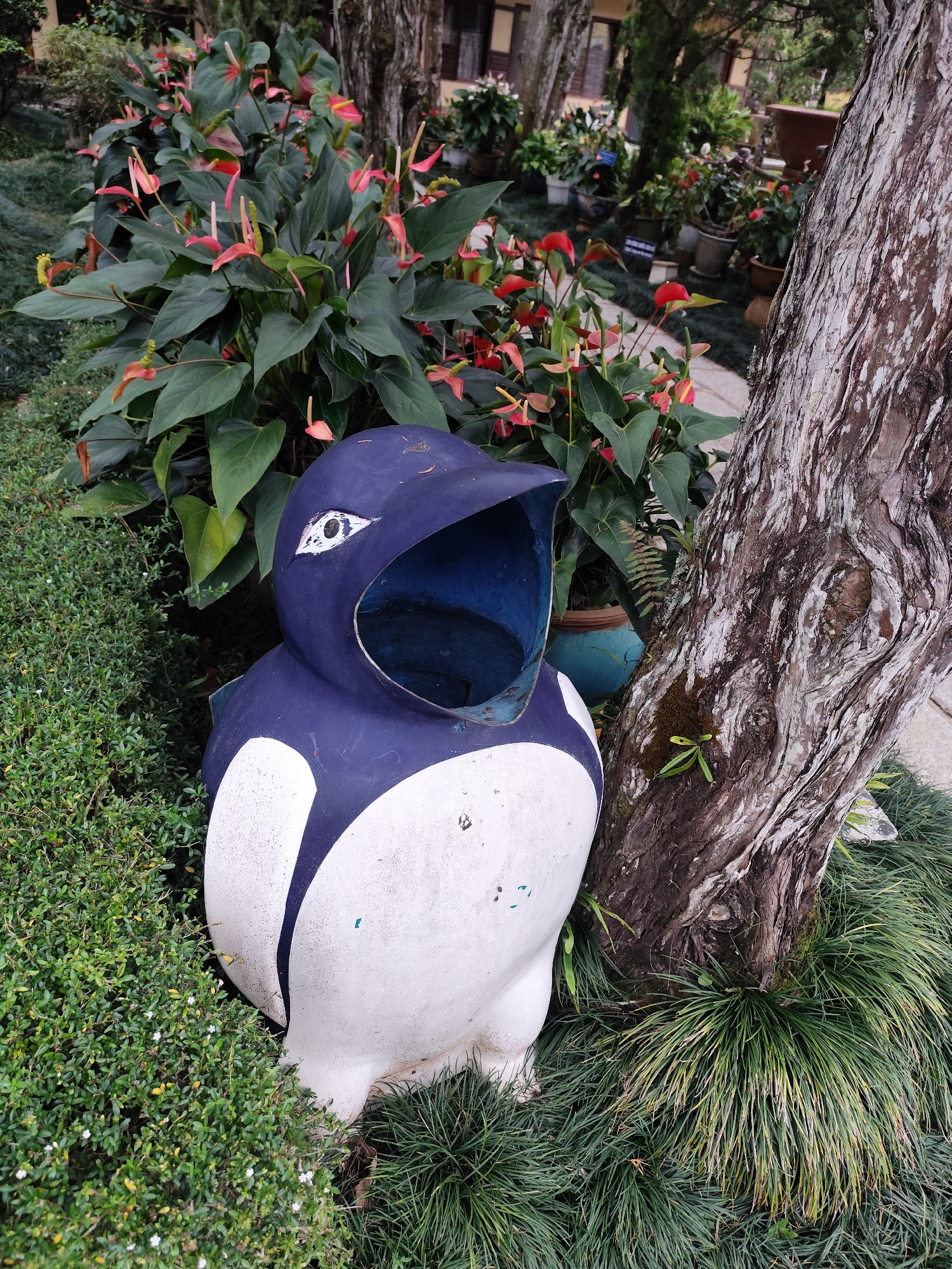 A photograph taken in Da Lat, Vietnam, depicts a partially painted blue and white concrete penguin sculpture resting amidst a landscape of plants. The penguin, its paint faded, has an opening for its mouth and a white painted eye. It is nestled in a garden setting, surrounded by green ground cover, including fine-leafed grass and small shrubs. Beside it is a textured tree trunk with patches of moss. In the background, there are a variety of plants, including pink Anthurium flowers, suggesting a cultivated garden environment. Other plants in pots are visible in the background and a building is visible further into the background. The lighting is soft and diffused, indicative of an overcast day.