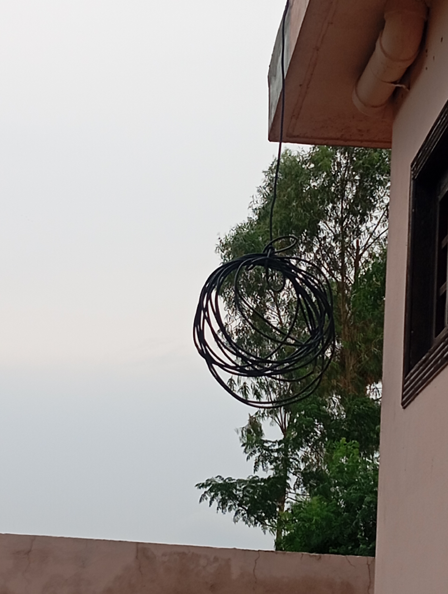 A coil of black cable hangs suspended in front of a tree and a building. The cable is roughly circular in shape and appears to be made of a flexible material. The tree behind the cable has dense green foliage. The building is a light-colored structure with a dark window visible on the right side. The sky is overcast and a light gray color. Part of a brown-colored wall or ledge is visible at the bottom of the image, and another section of the building, including a drainage pipe, is visible at the top. The scene appears to be outdoors.