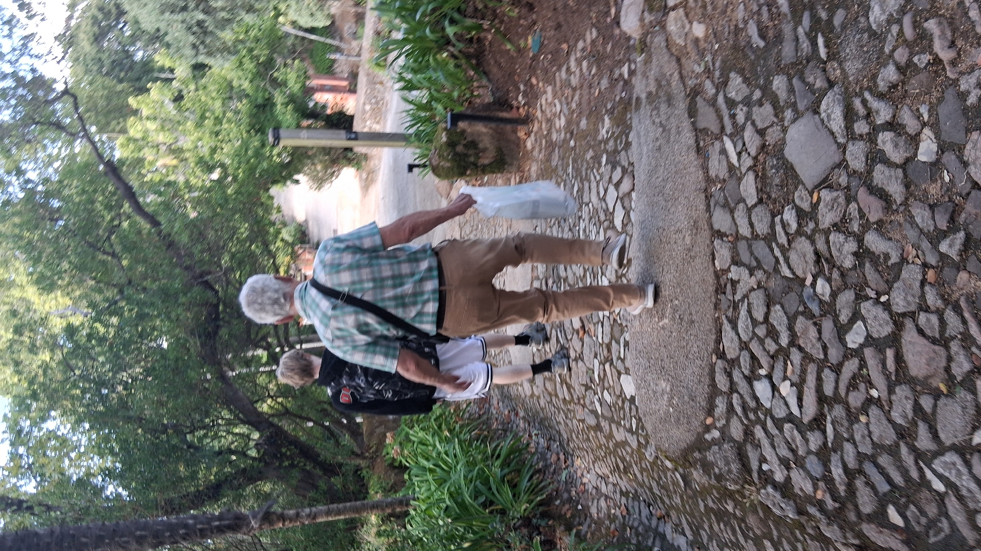Two individuals, an older man and a younger person, walk away from the camera on a stone-paved pathway. The older man, in the foreground, wears a green and white plaid shirt, tan pants with a rip on the left leg, and light-colored shoes. He carries a white plastic bag in his right hand and has a black strap over his left shoulder. The younger person, to his left and slightly behind, wears a black hoodie with a graphic on the back, white shorts with black stripes, and dark sneakers. They are in a natural environment with lush green trees and vegetation on either side of the path. The path itself is uneven, composed of various-sized grey stones with some patches of dirt. The overall scene suggests a walk through a park or garden area.