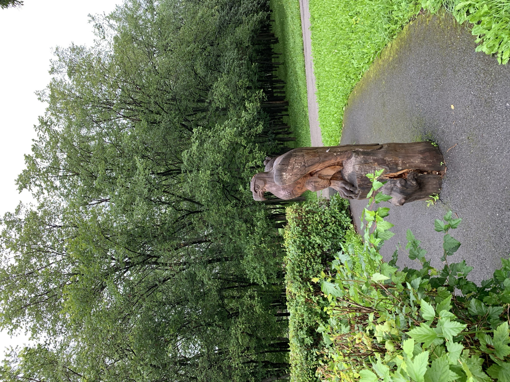 The image depicts a wooden sculpture of an eagle situated on a paved pathway in a park. The sculpture is carved from a tree trunk and is positioned to the right of the frame. The pathway curves to the right, bordered by lush green grass on the right and a dense hedge on the left. Behind the hedge, a line of trees forms a forest backdrop. The sky is overcast and white. The environment appears to be a park in Prokopyevsk, Russia. There are no people visible in the image.