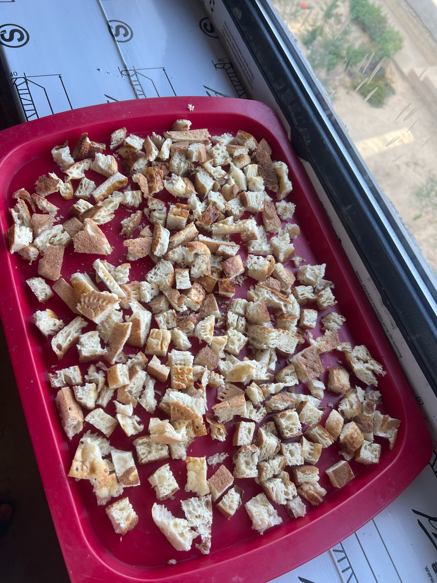 A close-up overhead shot shows a red plastic tray filled with pieces of toasted bread. The bread is cut into irregular cubes and strips, varying in color from golden brown to pale white. The tray is placed on a white surface with black markings, likely a windowsill or a piece of protective material. In the background, through a window, greenery and sandy ground are visible. The overall scene suggests preparation for making croutons or breadcrumbs.