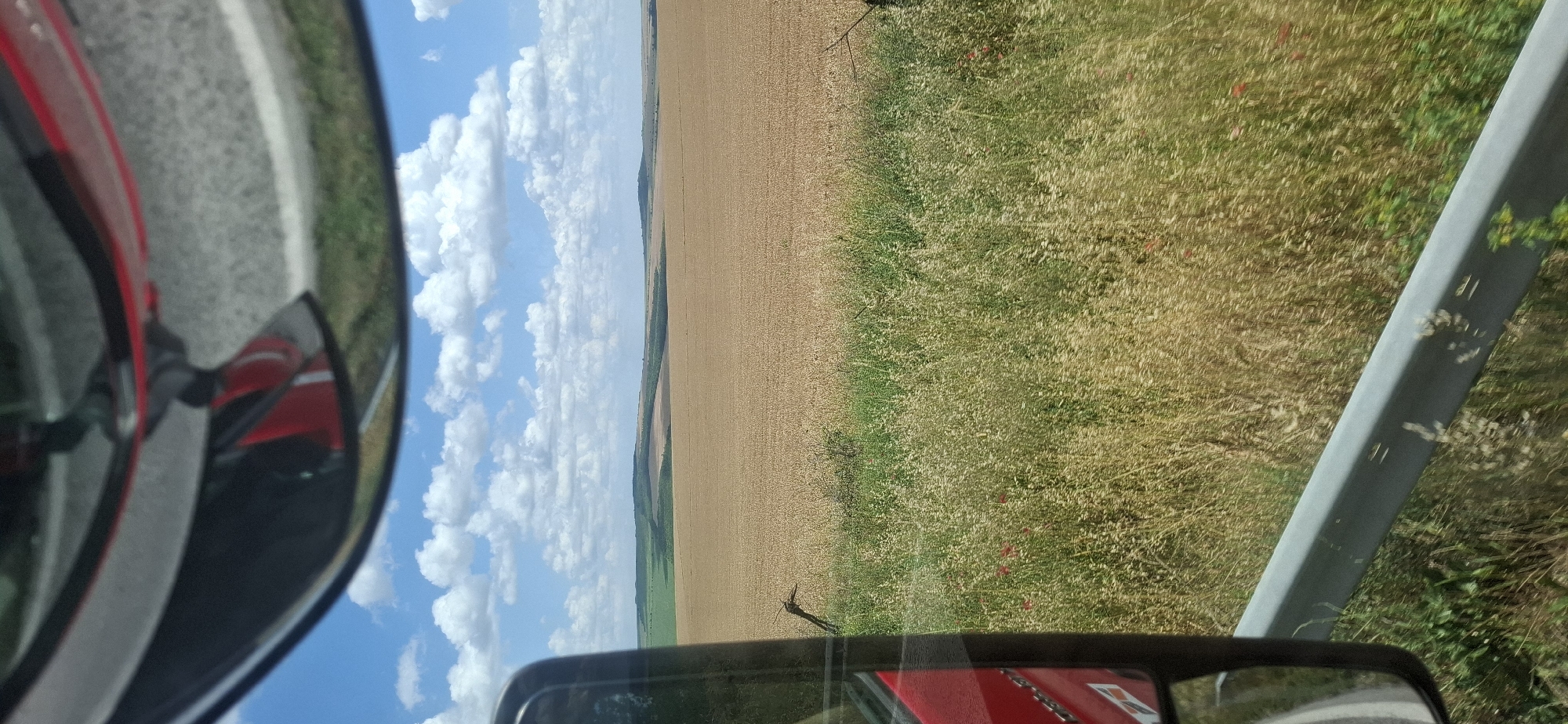 A roadside view shows a golden field of ripe grain under a partly cloudy blue sky. In the foreground, tall grasses and some red poppies grow alongside a metal guardrail. A black post is visible near the field's edge. To the left, a red vehicle's side mirror reflects the road and sky. The scene appears to be in or near Ovcha Mogila, Bulgaria, consistent with rural landscapes common in the region during harvest season. No people are visible.