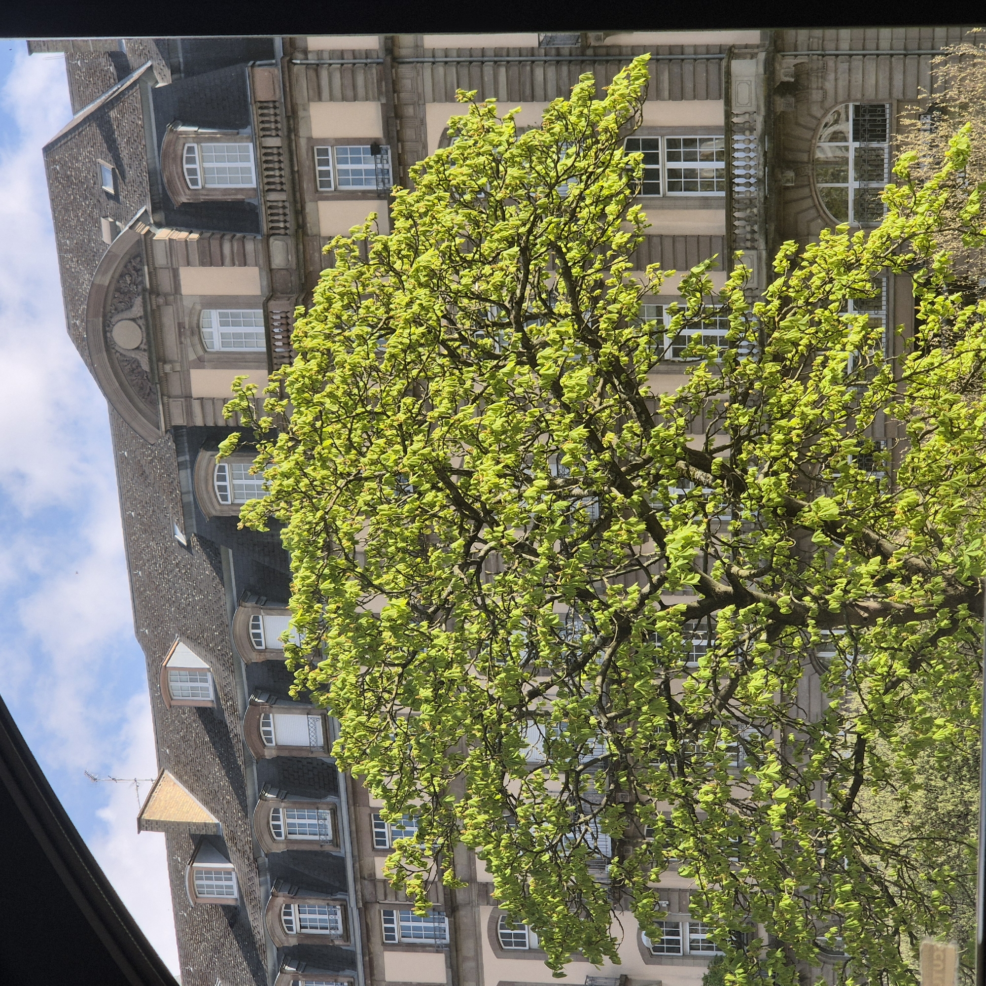 A building with a dark grey tiled roof and light pink facade is viewed through a window, partially obscured by a tree in full, light green leaf. The building features rows of windows, some arched and some rectangular. The building is likely located in Strasbourg, France, judging by the architectural style. No people are visible. The sky is partially visible with some blue sky and clouds. The window frame is visible at the edges of the image.