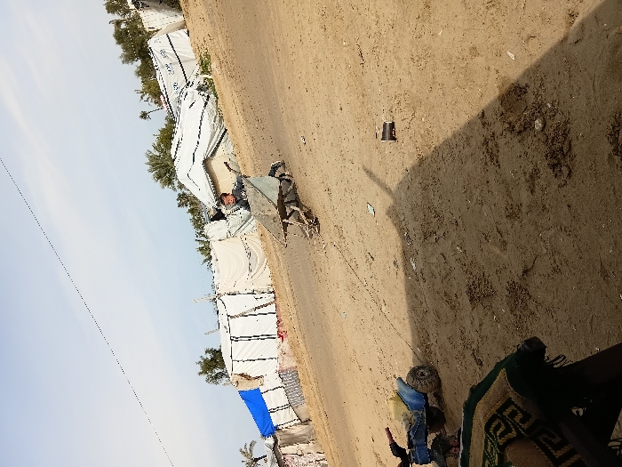 The original image, which is oriented sideways, depicts an outdoor scene in what appears to be a displacement camp, likely in Khan Yunis, Palestinian Territory. When viewed correctly, the scene shows a wide, unpaved sandy-dirt path running through the middle, flanked by numerous white tents. The sky above is clear and light blue, indicating daytime.
In the mid-ground, a person wearing a dark top is seen pushing or pulling a metal wheelbarrow along the dirt path. Their face is partially visible, showing a focused expression as they engage in this activity. The tents lining the path are simple, rectangular structures, some exhibiting dark vertical and horizontal lines that suggest their frame or seams. While some tents have dark stenciled text or logos on their surfaces, the resolution makes these markings illegible. Sparse green vegetation, including what appear to be palm trees, can be seen between and behind some of the tents.
The ground is dusty and uneven, with scattered small debris. In the foreground on the right side, a large, dark shadow of an unseen object extends across the path. Near this shadow, a patterned rug with green and beige geometric designs lies on the ground, along with some items of clothing, including blue jeans. A small, dark cylindrical object, possibly a discarded cup, is also visible on the path further back. A thin, dark line, likely a utility wire or string, stretches across the upper left portion of the sky. The overall scene conveys the temporary and functional nature of a humanitarian settlement, with daily tasks being performed under clear skies.
