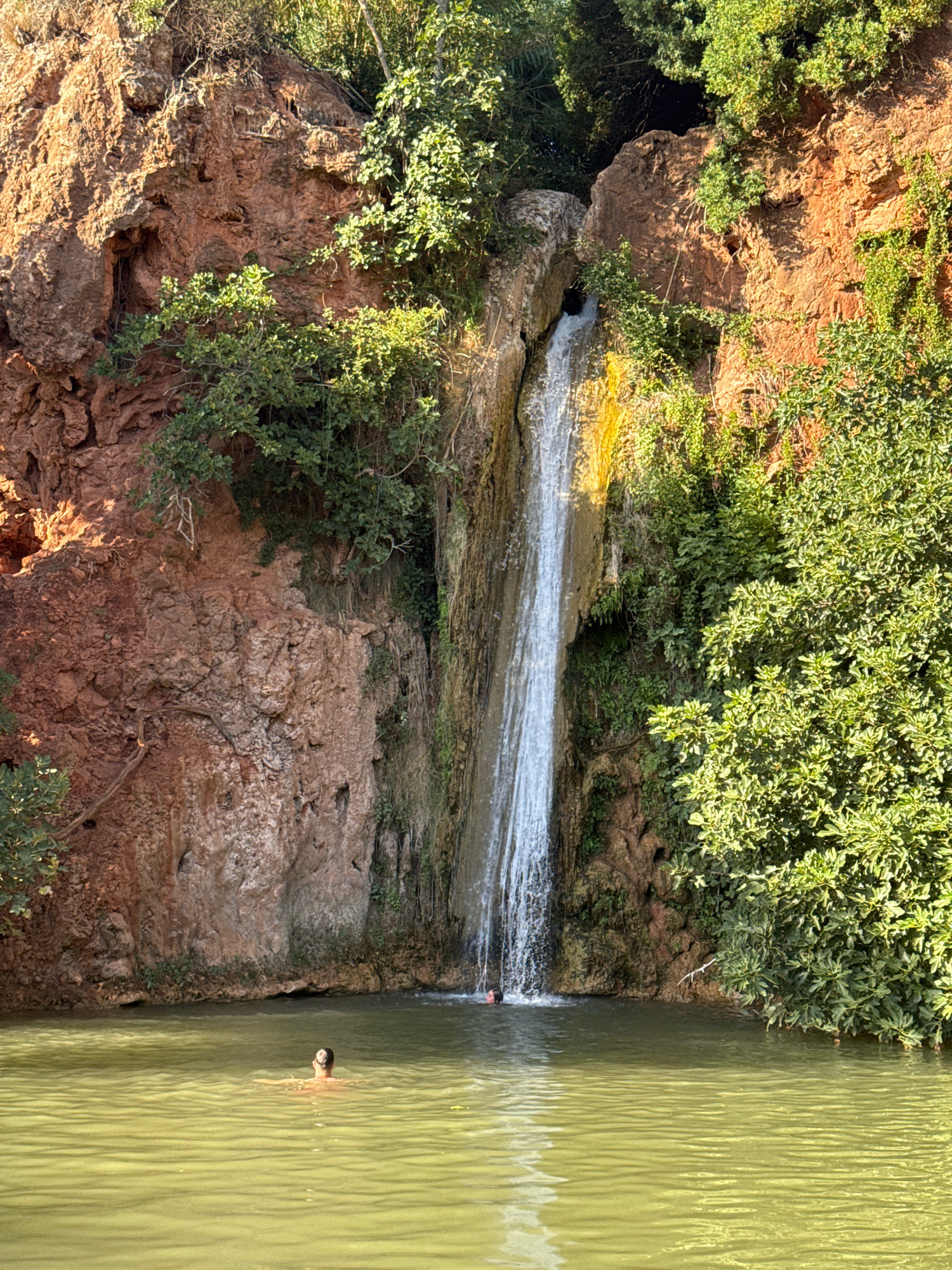 The image depicts a picturesque natural scene featuring a waterfall cascading down a rocky cliff face. The surrounding environment is lush with green vegetation, including trees and shrubs growing on the rocks and along the water's edge. At the base of the waterfall, a pool of greenish water reflects the sunlight.
In the foreground, a person is swimming in the pool, with their head and shoulders visible above the water. Further back, near the waterfall, another person is also in the water, seemingly enjoying the natural surroundings. The scene appears to be a secluded and tranquil spot.
This location is likely part of the natural attractions within the municipality of Loulé, Portugal, known for its diverse landscapes and natural beauty, including waterfalls and hiking trails.