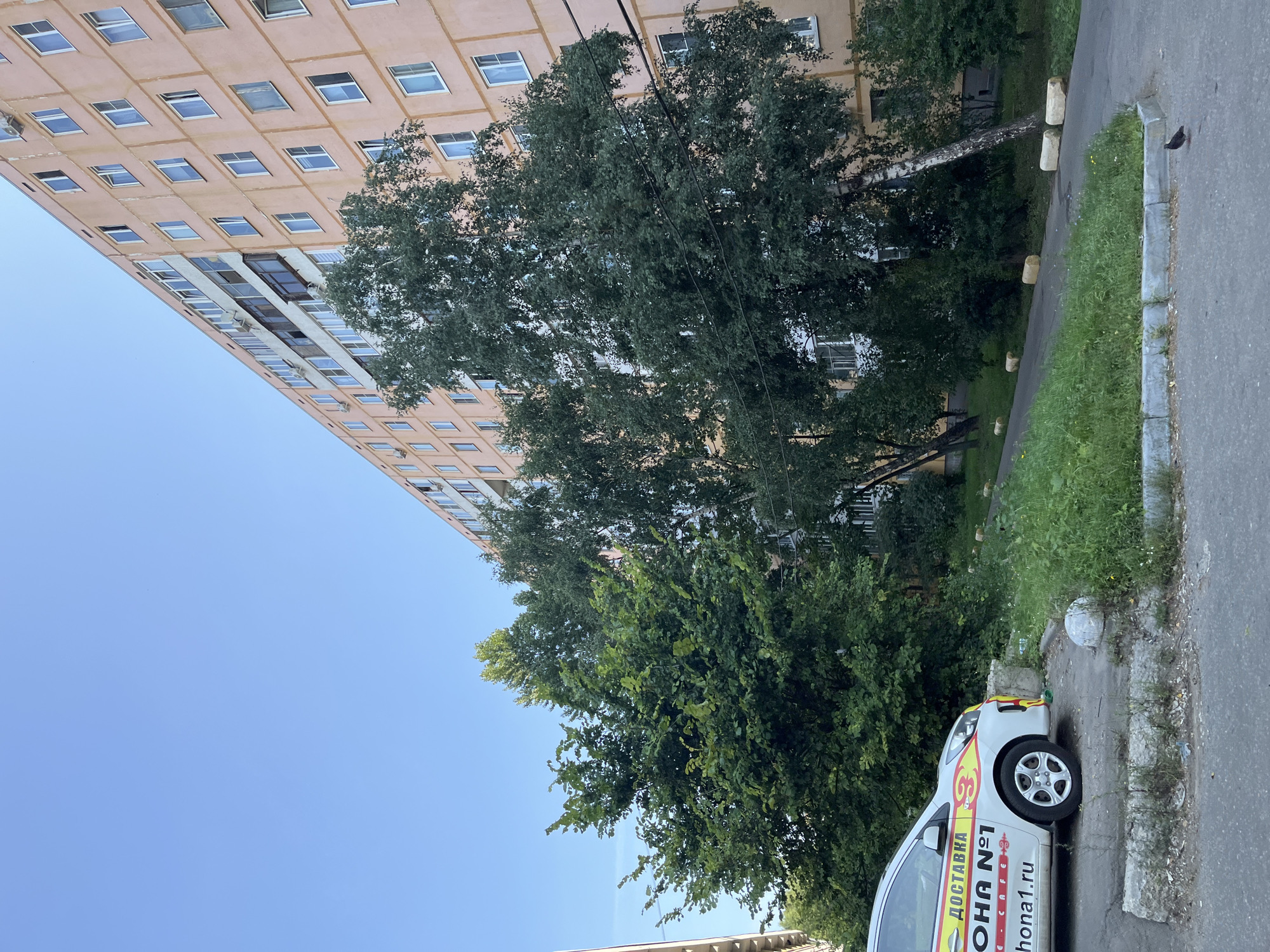 A delivery car with the branding "ДОСТАВКА ЗОНА №1" and "zhona1.ru" is parked on asphalt next to a concrete curb and a grassy slope. The car is white with red and yellow accents. Behind the car and the slope is a tall, peach-colored apartment building with numerous windows. Several trees, some with white bark, are situated between the car and the building, with lush green foliage. The sky is clear and blue. A single pigeon is visible on the asphalt in the foreground. The scene depicts a typical urban residential area.
