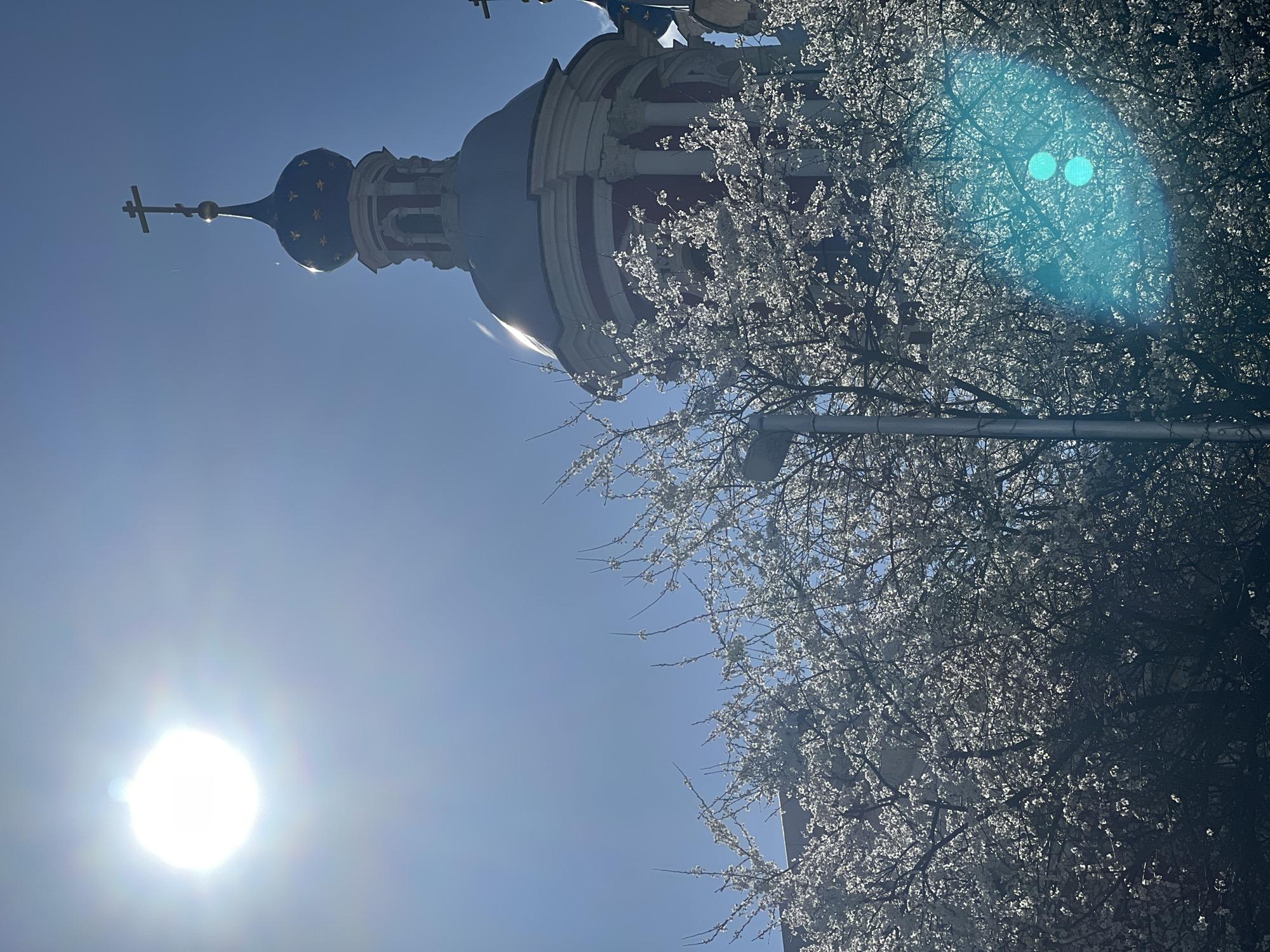 The image shows a low-angle view of a building with a dome and spire topped by a cross, likely a church, situated to the upper right of the frame. The building features red and white architectural details. In the foreground, a tree with delicate white blossoms obscures part of the view, creating a foreground of branches and flowers. A light pole is visible amidst the branches. The sky is a clear, bright blue. The sun is visible in the lower left of the frame and shines intensely, creating a glare. The scene is suggestive of Moscow, Russia, due to the architectural style of the building. No people are visible in the image.