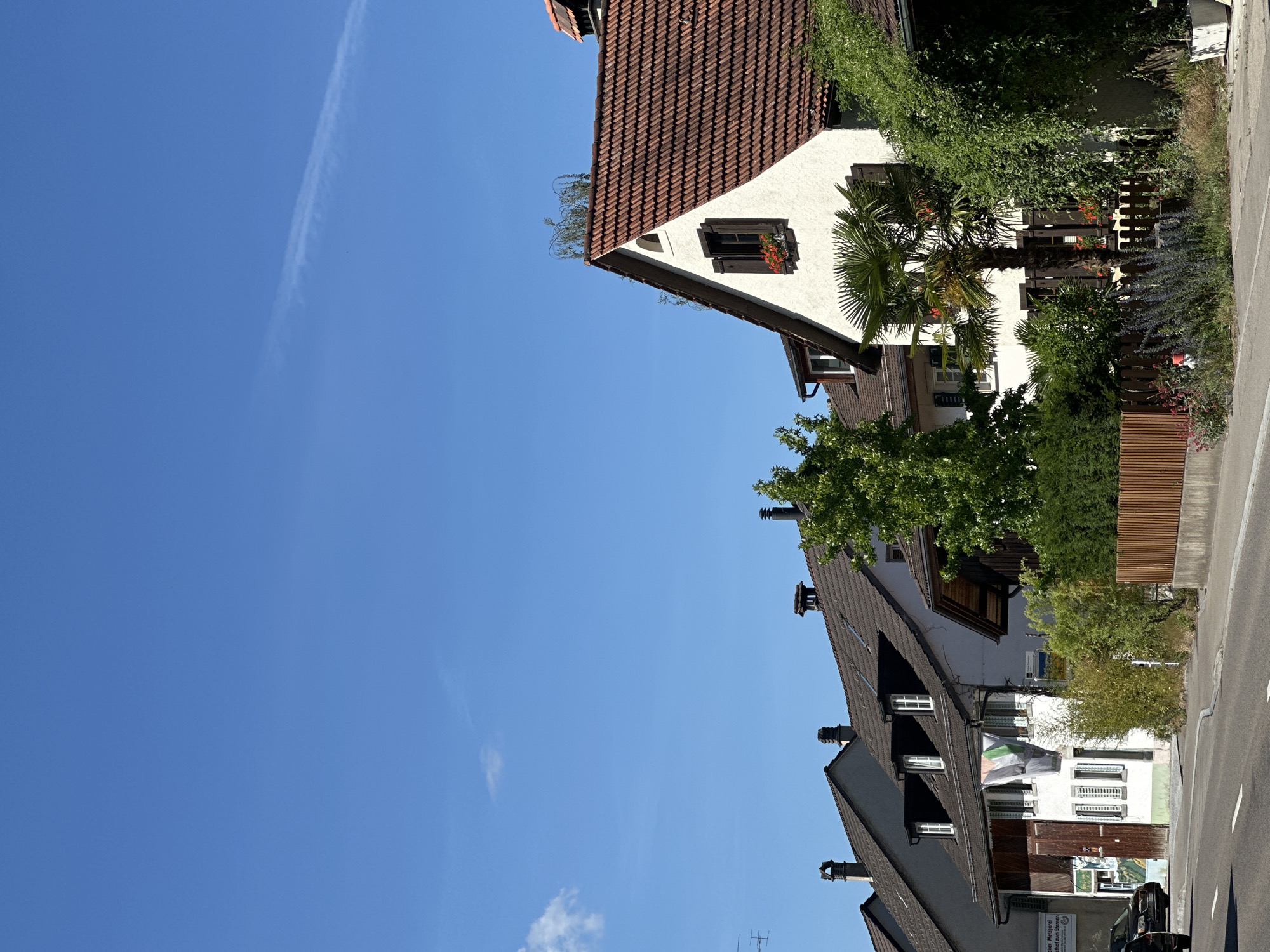 The image captures a street scene in Embrach, Switzerland, under a clear blue sky with a faint contrail. On the right side of the frame, a white, two-story house with a terracotta tiled roof is prominent. It features dark brown shutters on its windows and a small arched window at the gable. A palm tree stands in front of this house, with lush green foliage cascading down the side of the building. Further to the left, a row of attached houses with similar terracotta tiled roofs and dormer windows is visible. One of these houses displays a banner or flag with green, white, and red stripes hanging from its facade. A wooden fence runs along the foreground, separating the houses from the asphalt road. Several trees and bushes provide greenery throughout the scene. A dark-colored car is parked on the left side of the road. The overall impression is a quiet, residential street on a sunny day.