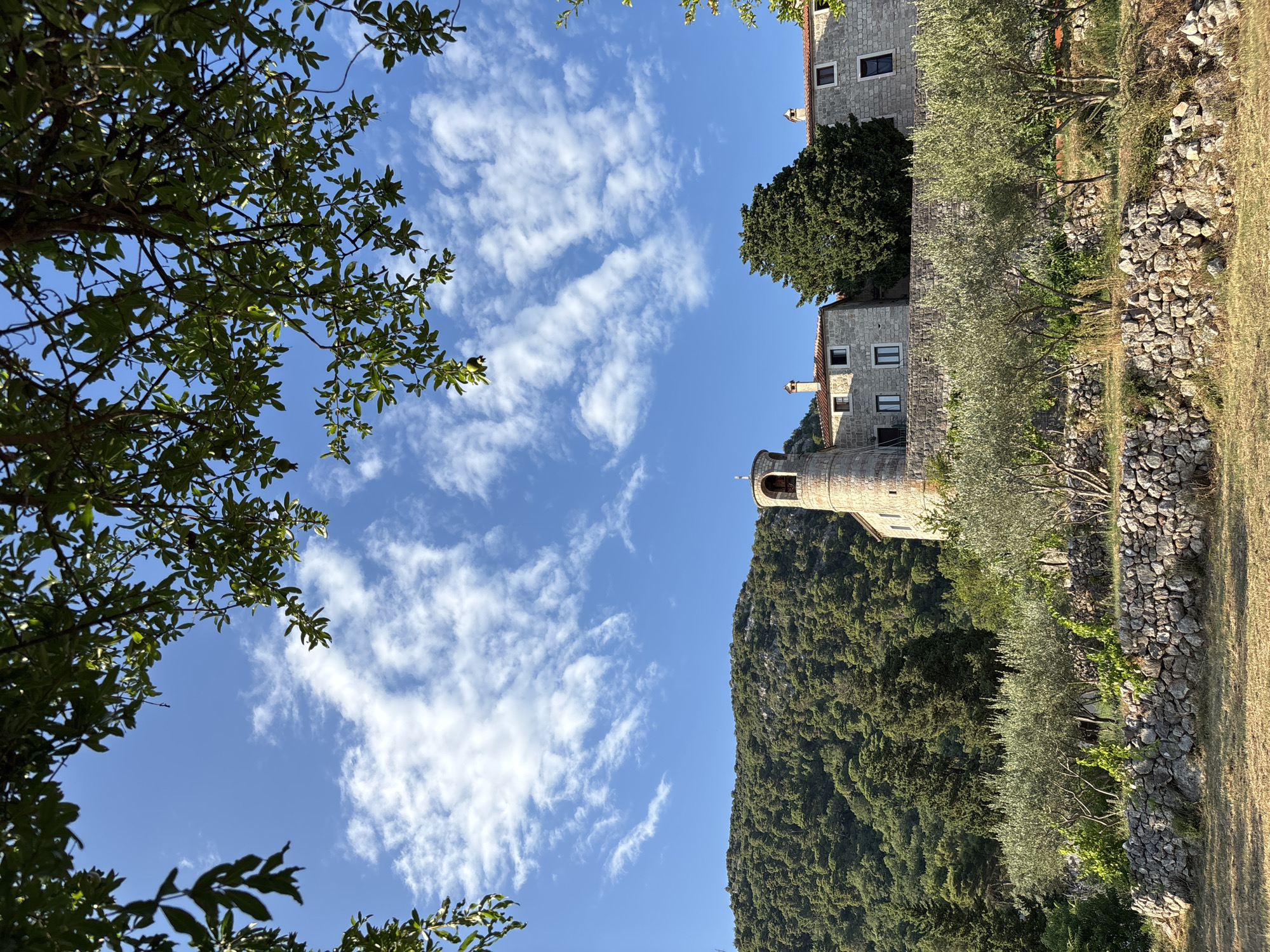 The image captures a view of a historic stone building with a bell tower, situated on a hillside overlooking a lush green landscape. The building appears to be a monastery or a similar ancient structure, constructed from weathered stone blocks. It features a prominent circular tower topped with a bell, and adjacent to it are the main living quarters with arched windows and red-tiled roofs.
The foreground is dominated by a dry, grassy field and a low, rustic stone wall. Behind the wall, olive trees and grapevines are visible, suggesting an agricultural setting. Further up the slope, dense green vegetation covers the hillside, leading to a backdrop of a clear blue sky with scattered wispy white clouds. The scene is framed by the dark green foliage of trees in the upper portion of the image, creating a natural border. The lighting suggests it is daytime, likely late afternoon or early morning due to the warm tones. The overall impression is one of tranquility and historical significance, characteristic of rural Mediterranean landscapes. This scene is representative of the vicinity of Budva, Montenegro, a region known for its historical sites and scenic beauty.