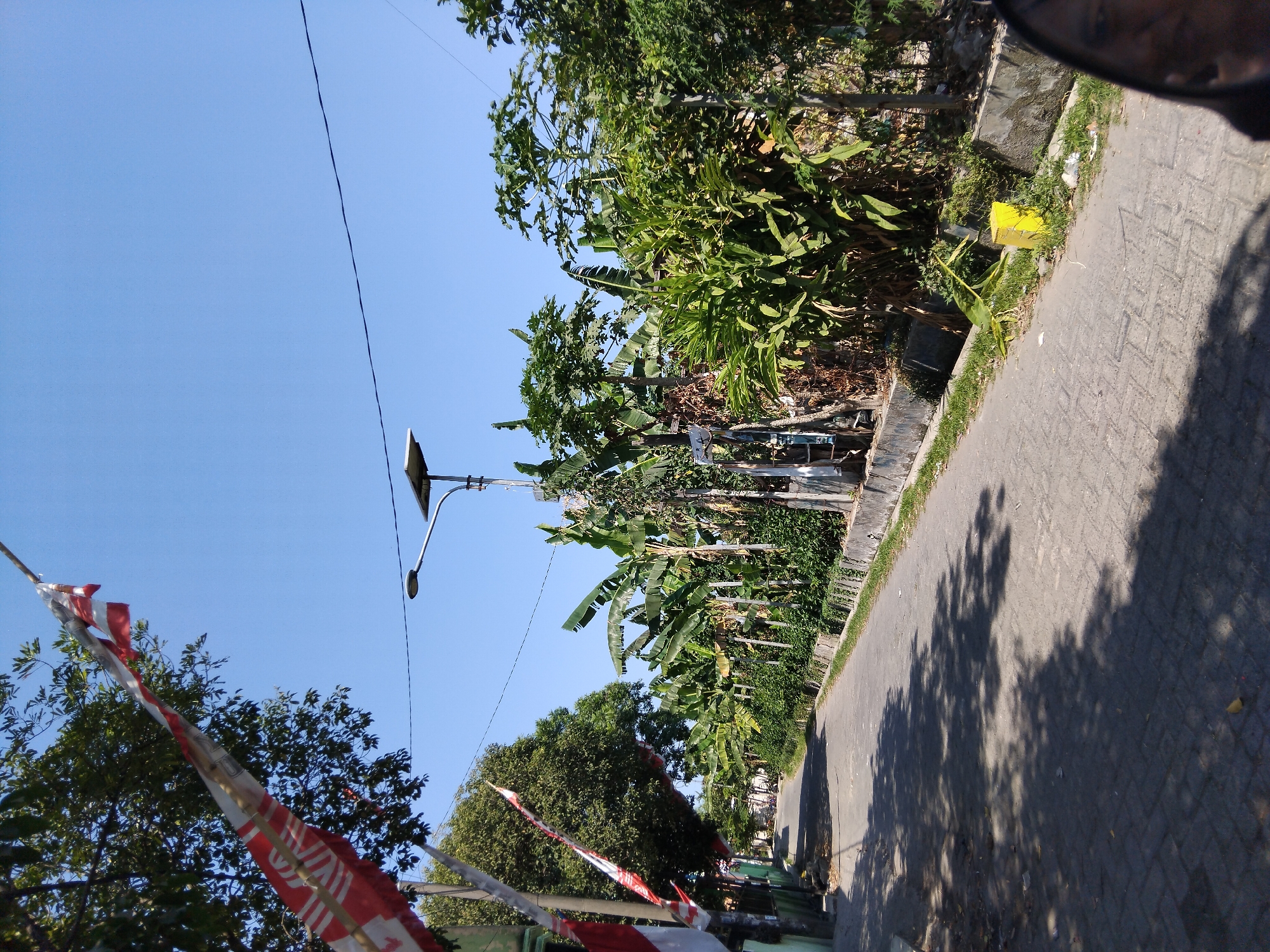 The image captures a street scene in Berbek, Indonesia, on a bright, sunny day. The road, paved with interlocking grey bricks, stretches into the distance, lined on the right by a low concrete curb with grass and dense green foliage. Several banana trees with large fronds are prominent in the vegetation, interspersed with other leafy plants. A solar-powered street light with a panel stands on the right side of the road. A small, bright yellow rectangular post is situated near the curb. On the left side of the road, a tall tree with dark green leaves is visible, and hanging from a pole are two Indonesian flags, predominantly red and white, with white stripes against a red background. The sky is clear and blue. The perspective suggests the photo was taken from a low vantage point, possibly from a vehicle or seated position, with shadows of trees cast across the road.